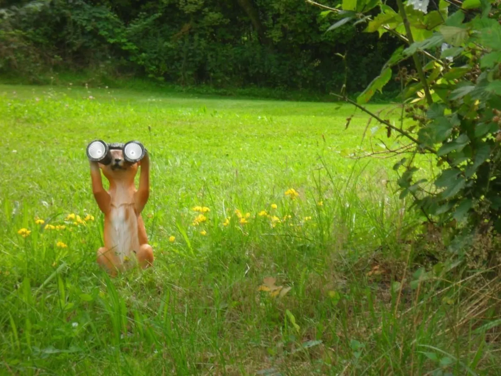 In Kuhklingen mit Großer Terrasse-Inside