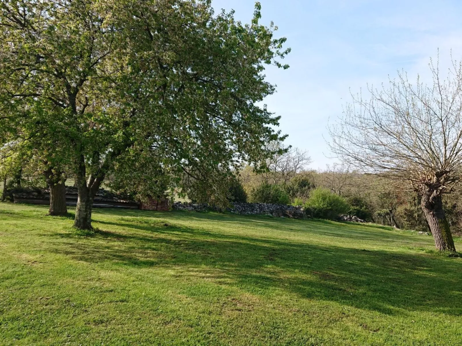 Das Haus im Wald-Inside