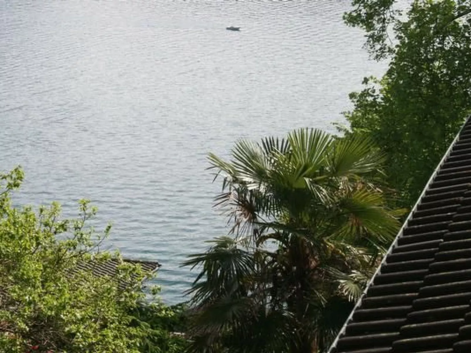 Traumstrand Vitznau-Draußen