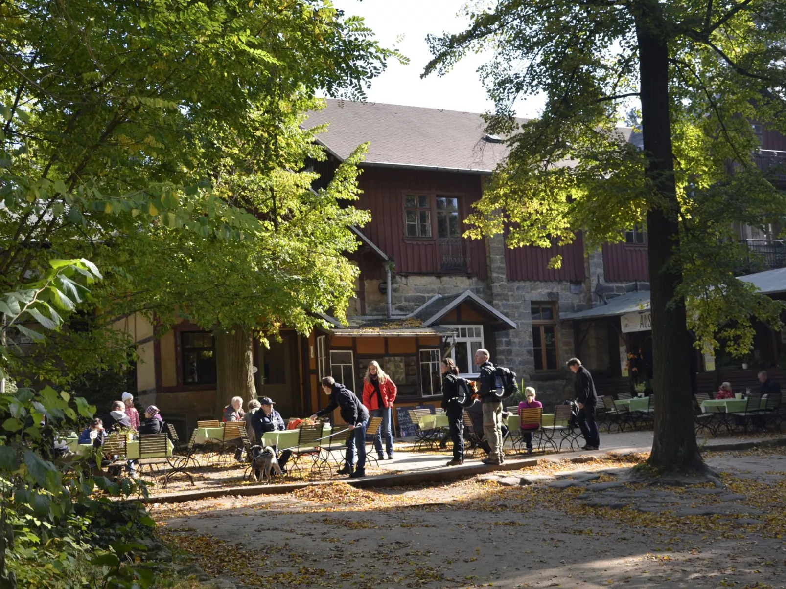 Panoramablick in Königstein-Dehors