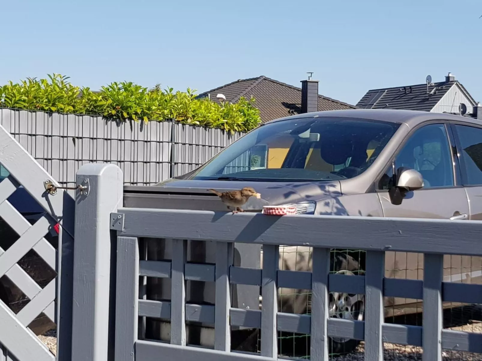 Kapitänskoje an der Wismarbucht-Dehors