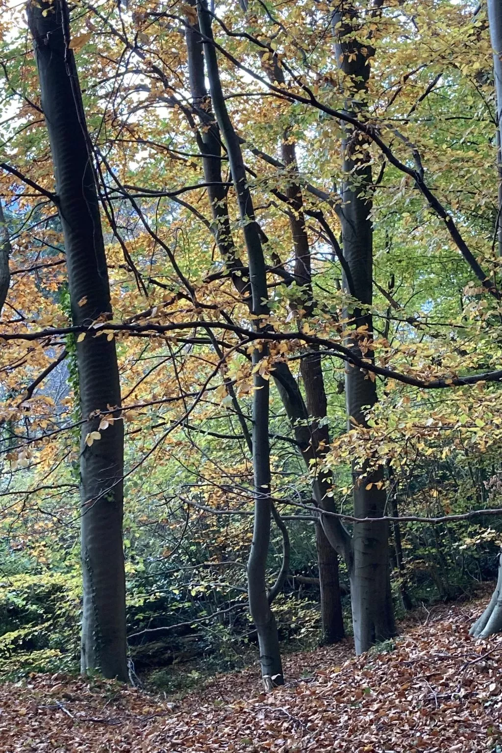 Strandnahe Ferienwohnung in ruhiger Lage-Drinnen