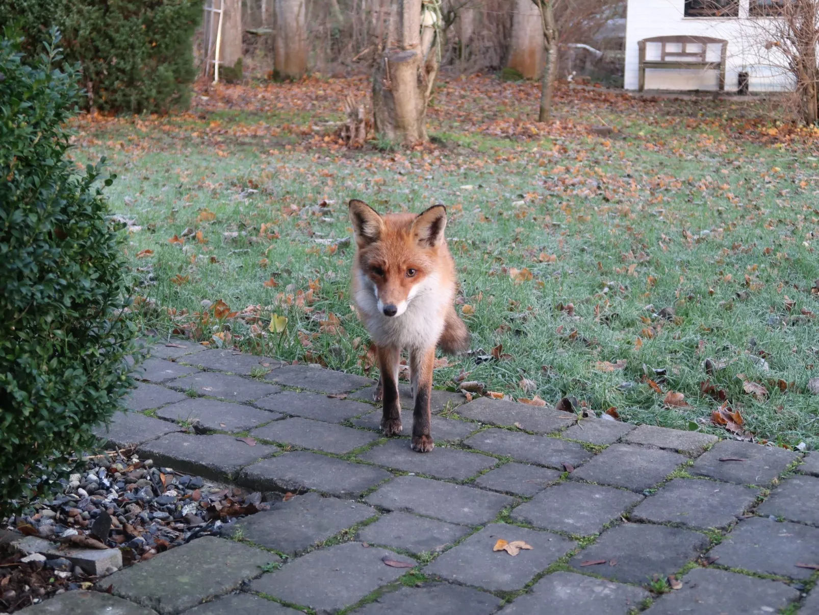Haus-Zauberblau-Drinnen