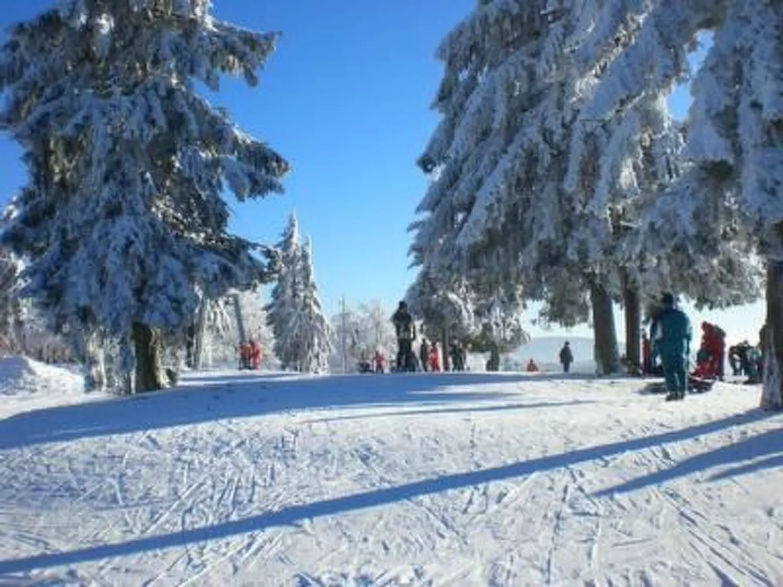 Chalet  " Jagdhaus"-Drinnen