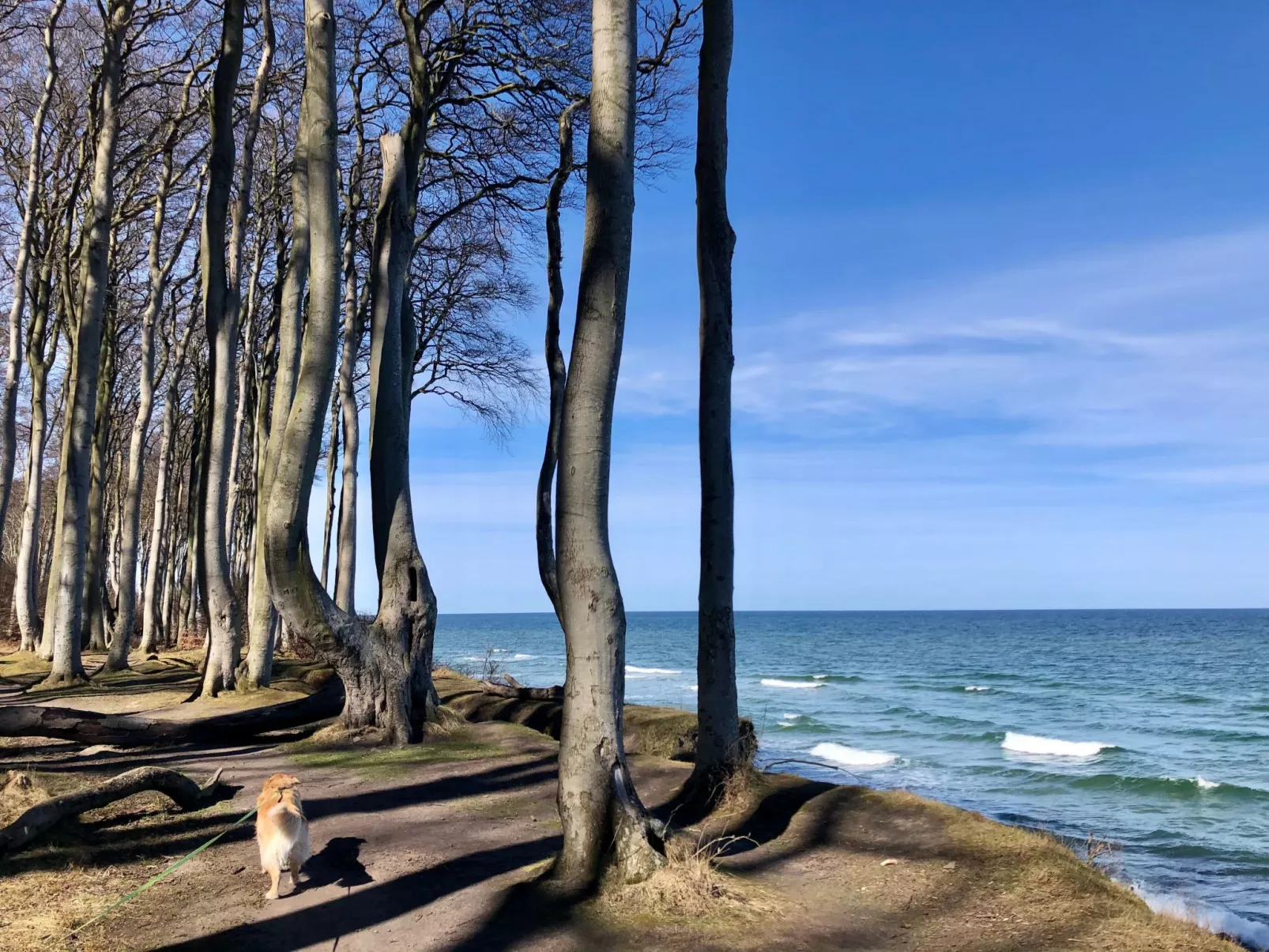 In Strandnähe-Draußen