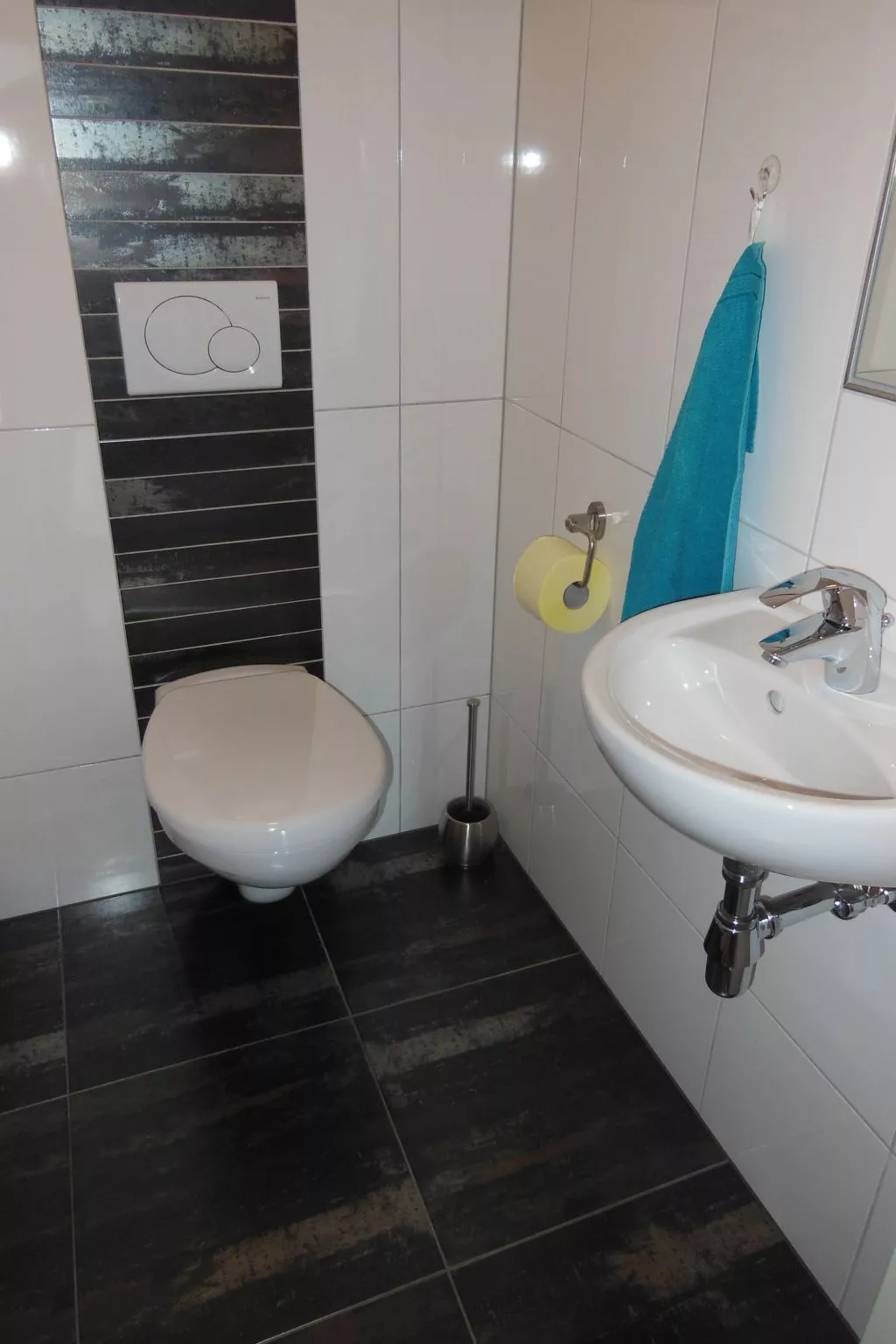 Sporer-Image-tags.info