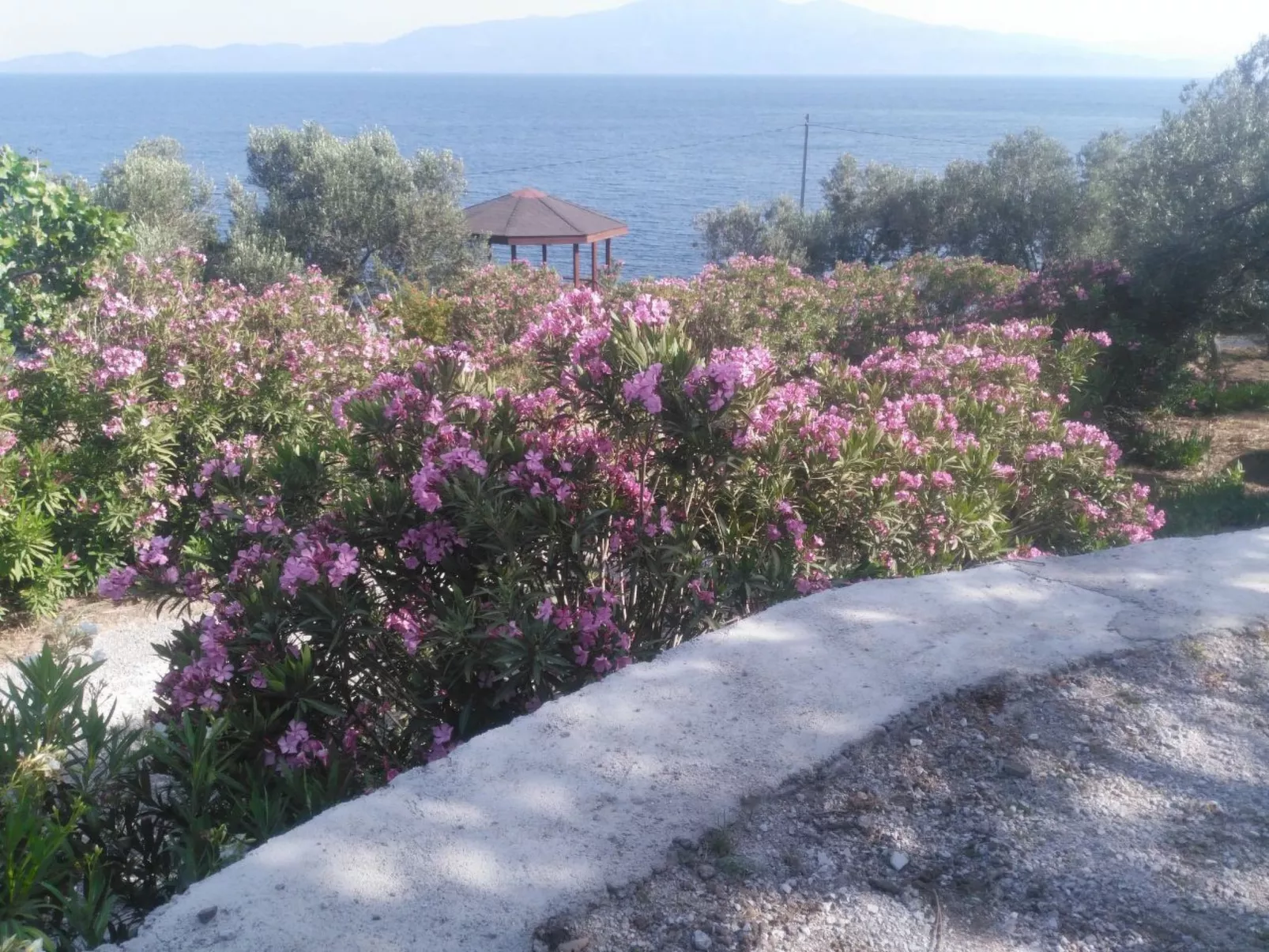 Assos Sivrice Gästehaus-Outside