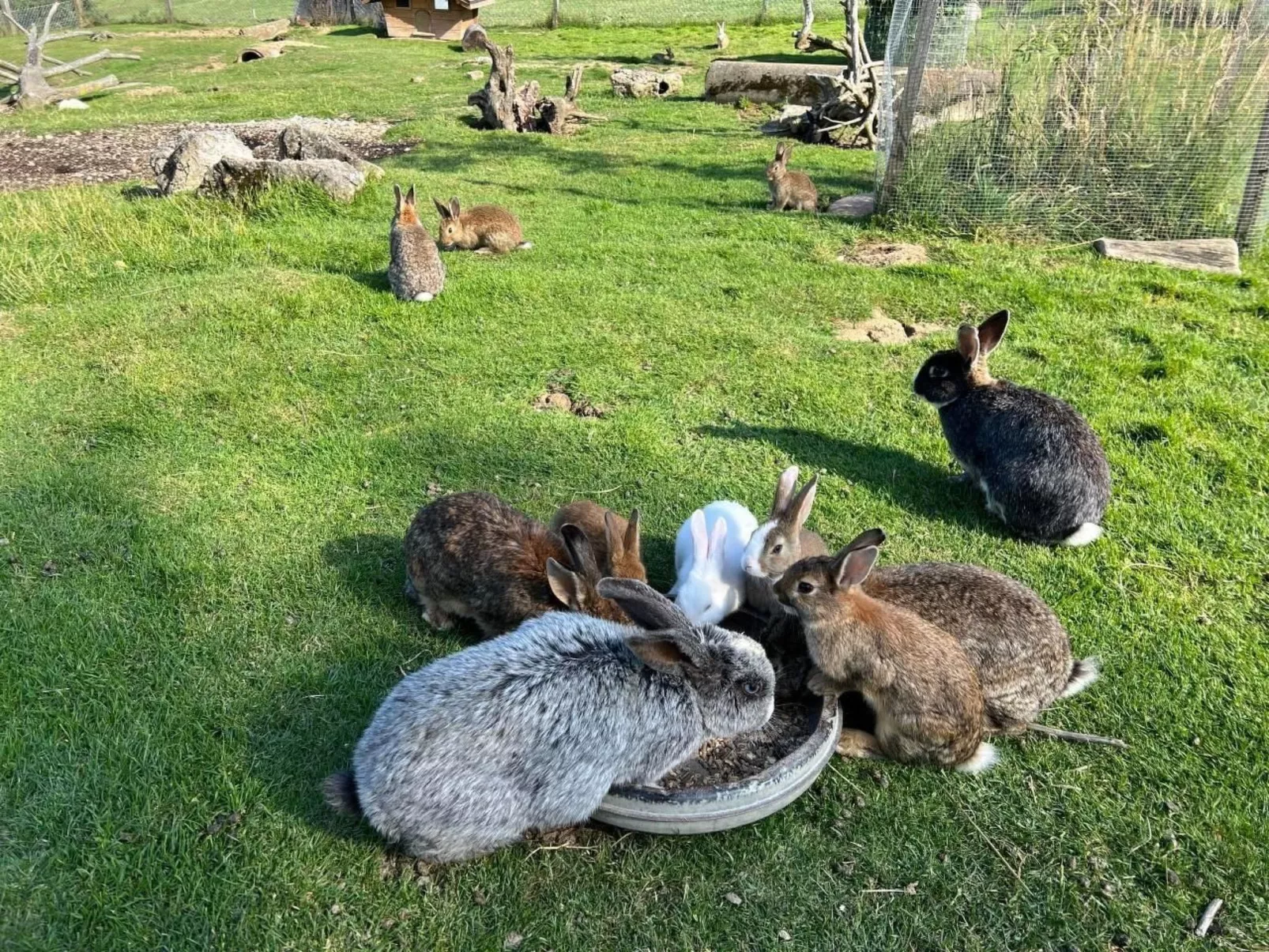 Schafmatthof Dachwohnung-Image-tags.info