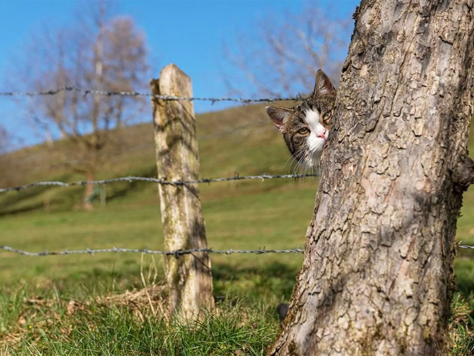 Eggenhof Ferien-Dehors