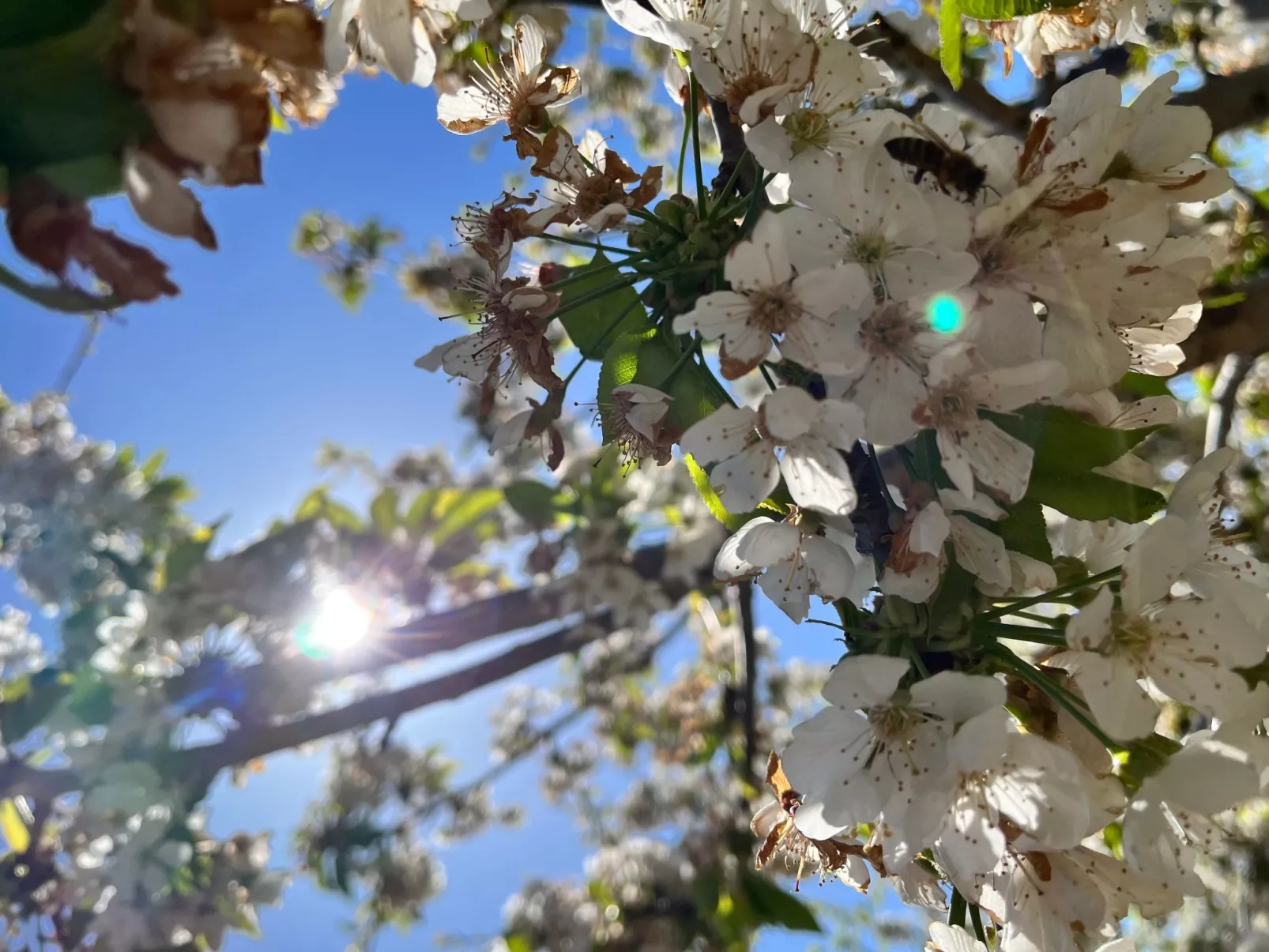 Neugebaute Wohnung im Erdgeschoss-Outside