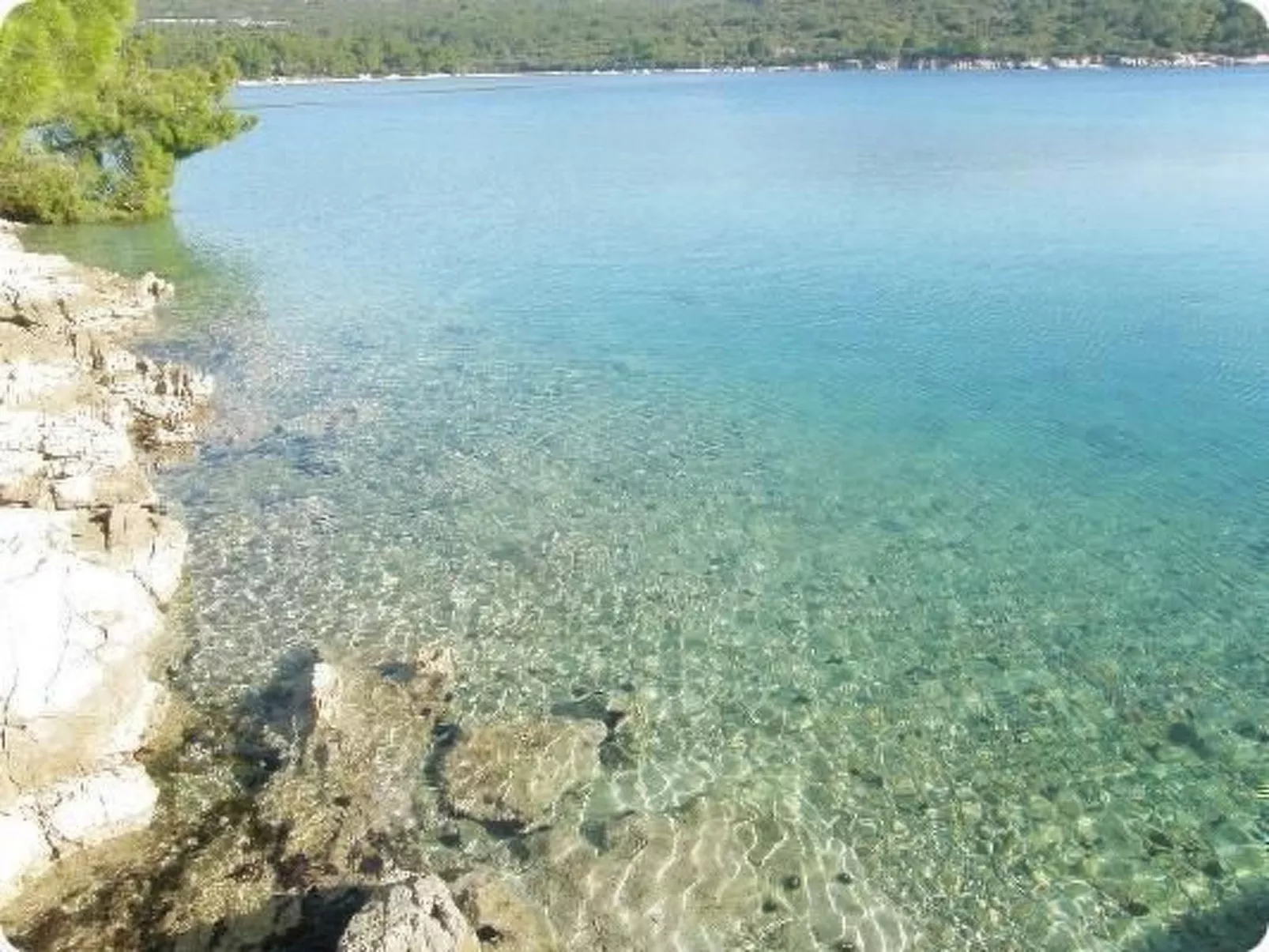 "Peaceful Paradise"-Dehors