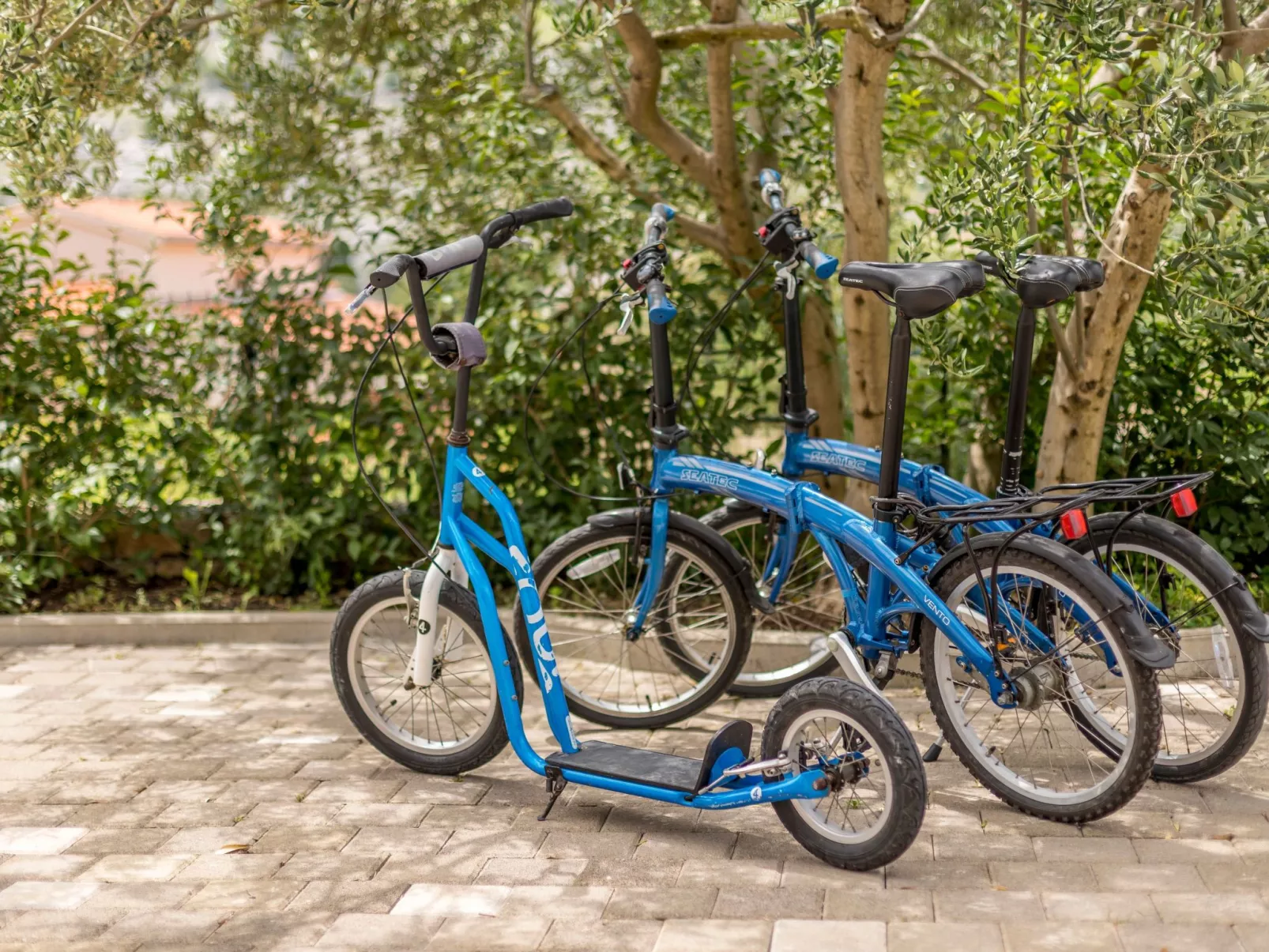 Ferienvilla "Paradies auf Erden"-Outside