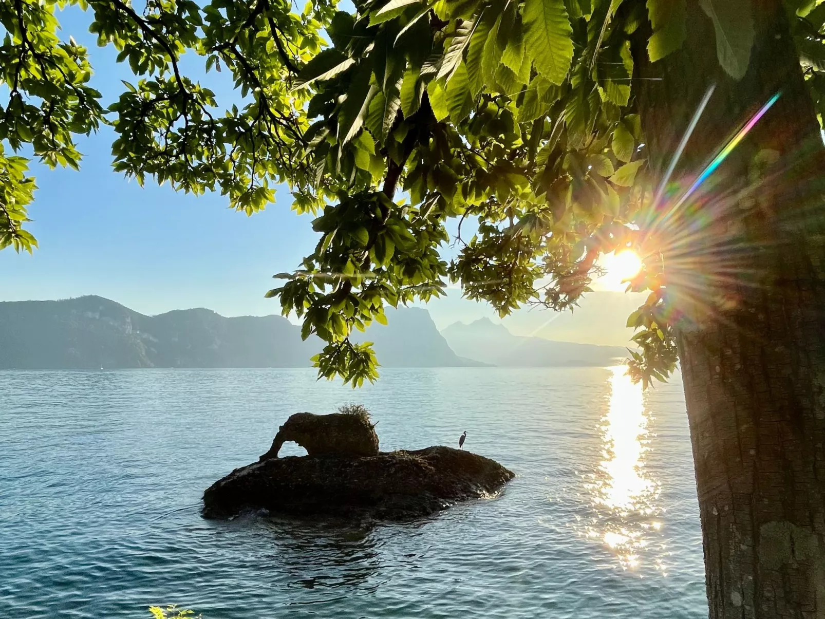 Chalet Bärgblick-Dehors