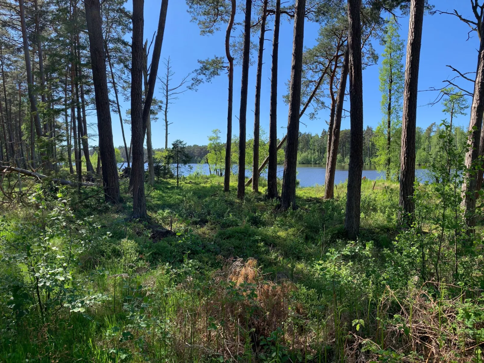 Ferien an der Ostsee-Dedans
