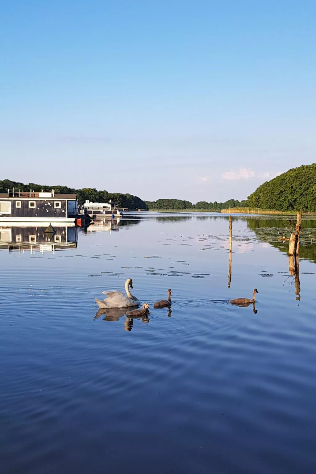 Landhaus Mueritzsee-Inside