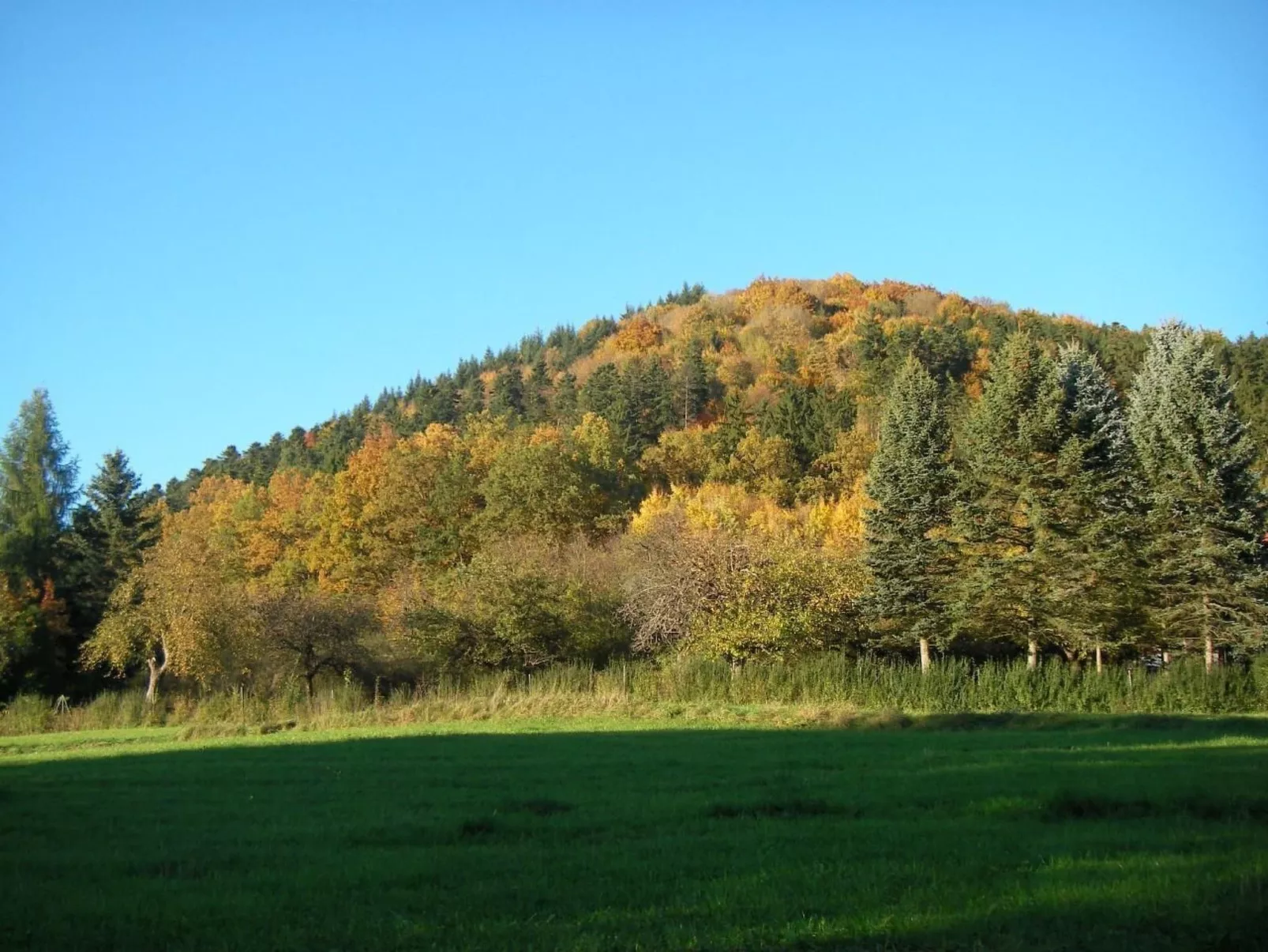 Haus "Hermann"-Dedans