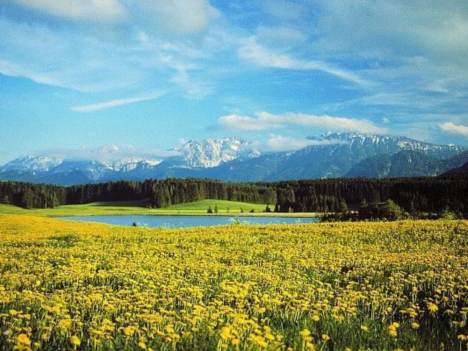 Appartement incl. KC-Outside