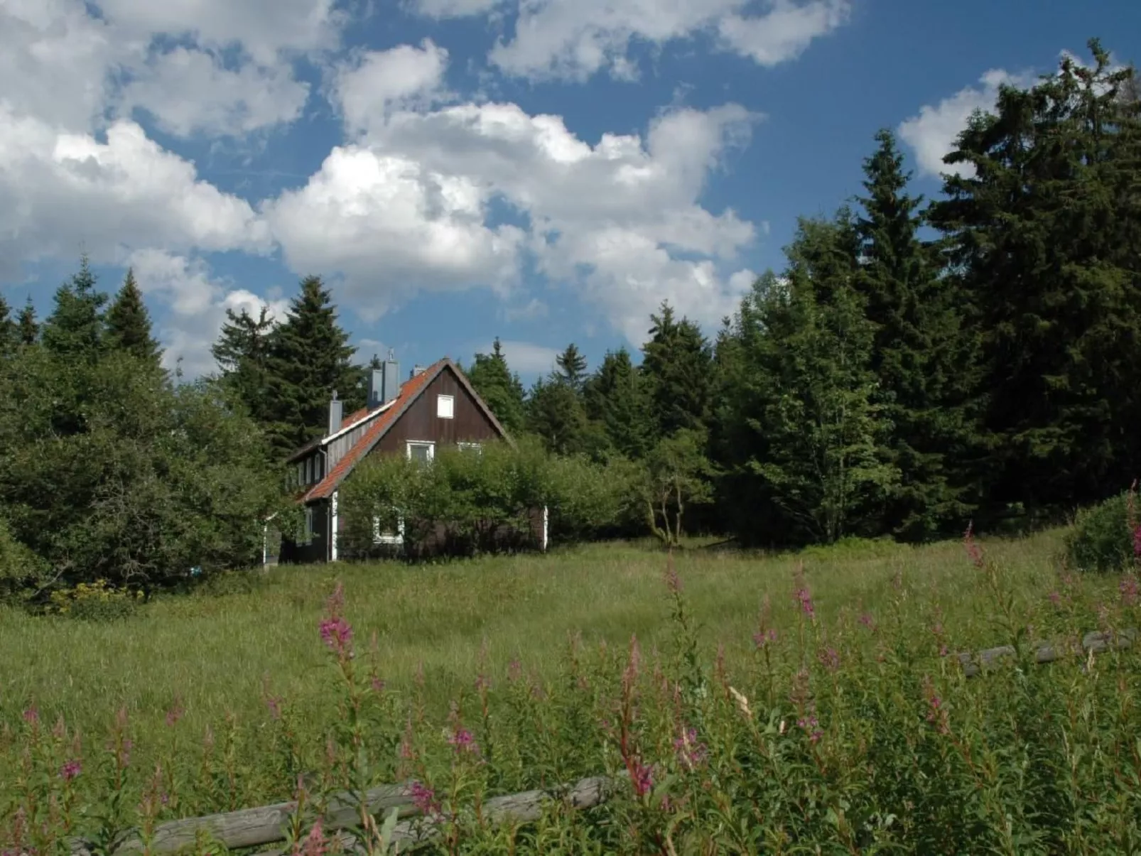 Appartement in Altenau mit Garten-Image-tags.info
