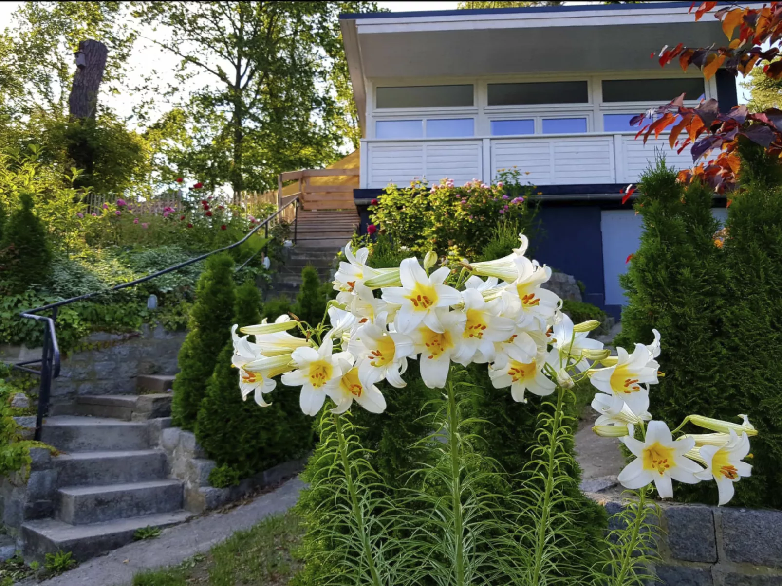 In Süd-Waldhanglage mit Seeblick-Drinnen