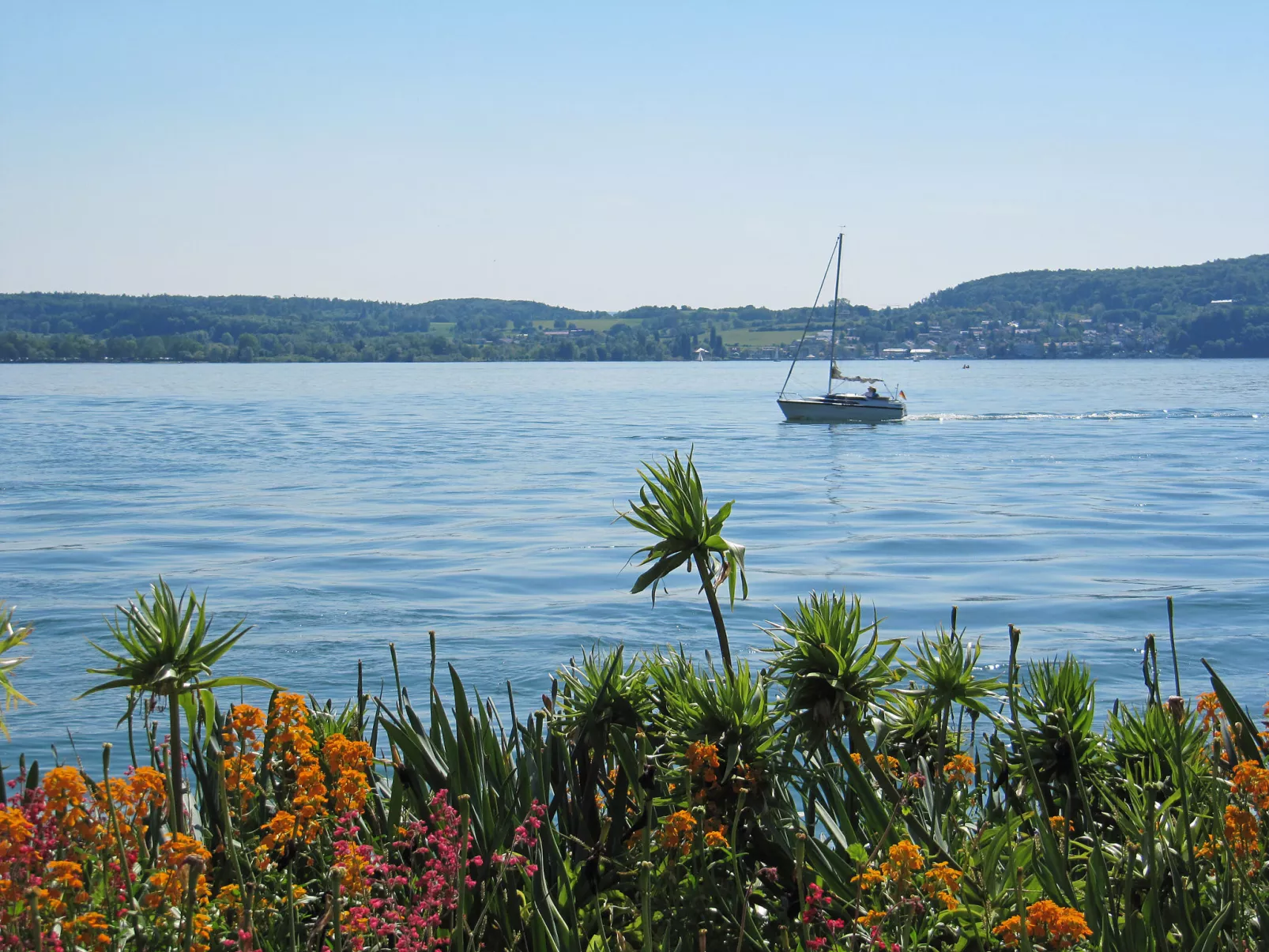 3-Zimmer-Fewo mit herrlichem Seeblick-Umgebung