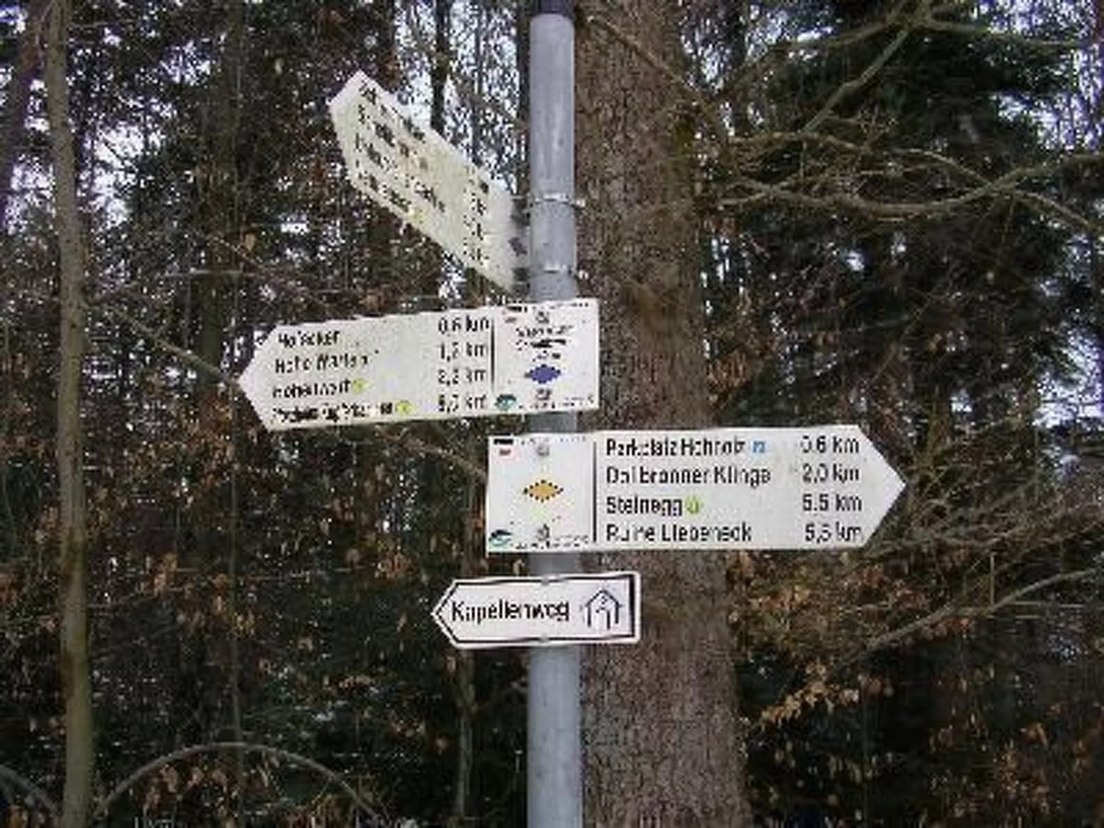 Nur-Dach-Ferienhaus für vier Personen-Inside