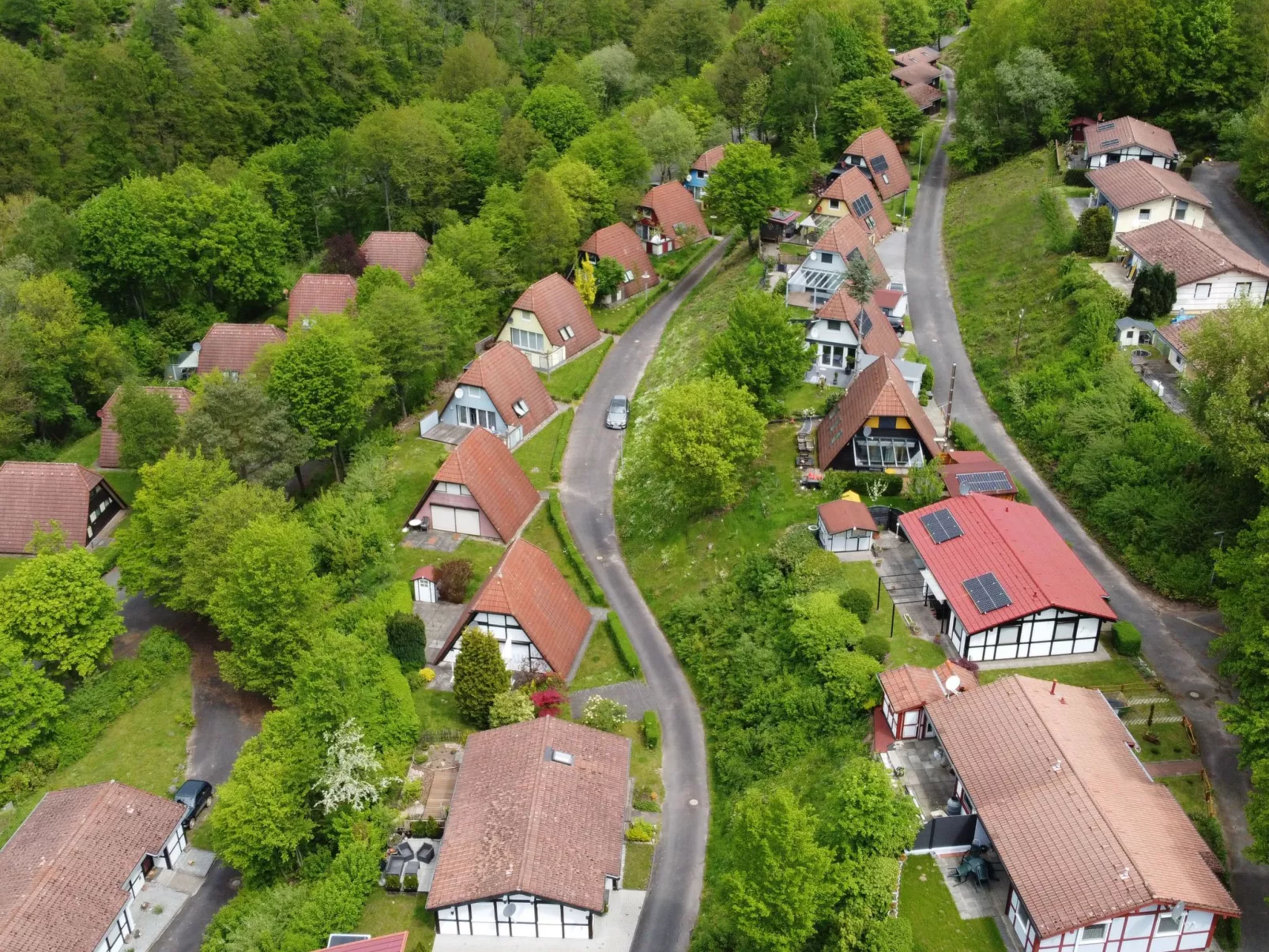 Scout 42-Image-tags.info