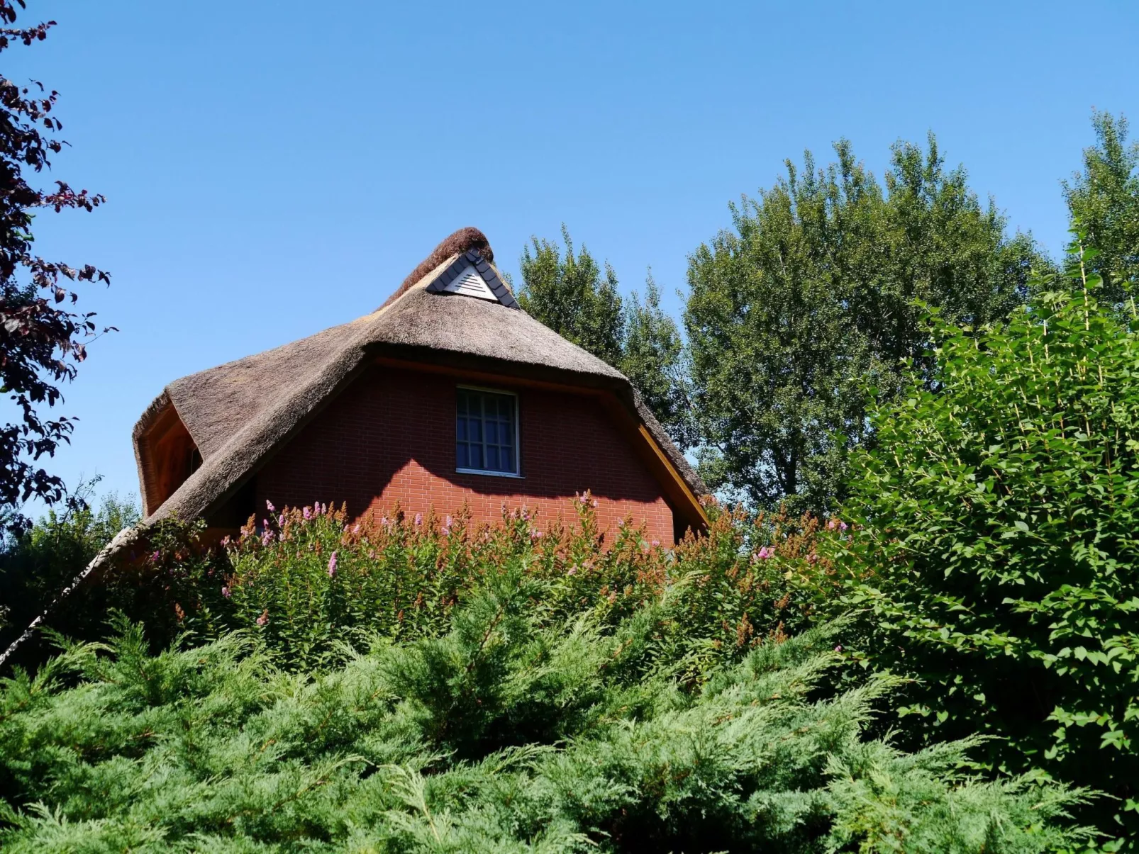 Idyllisches Reetdachhaus mit großem Garten-Drinnen