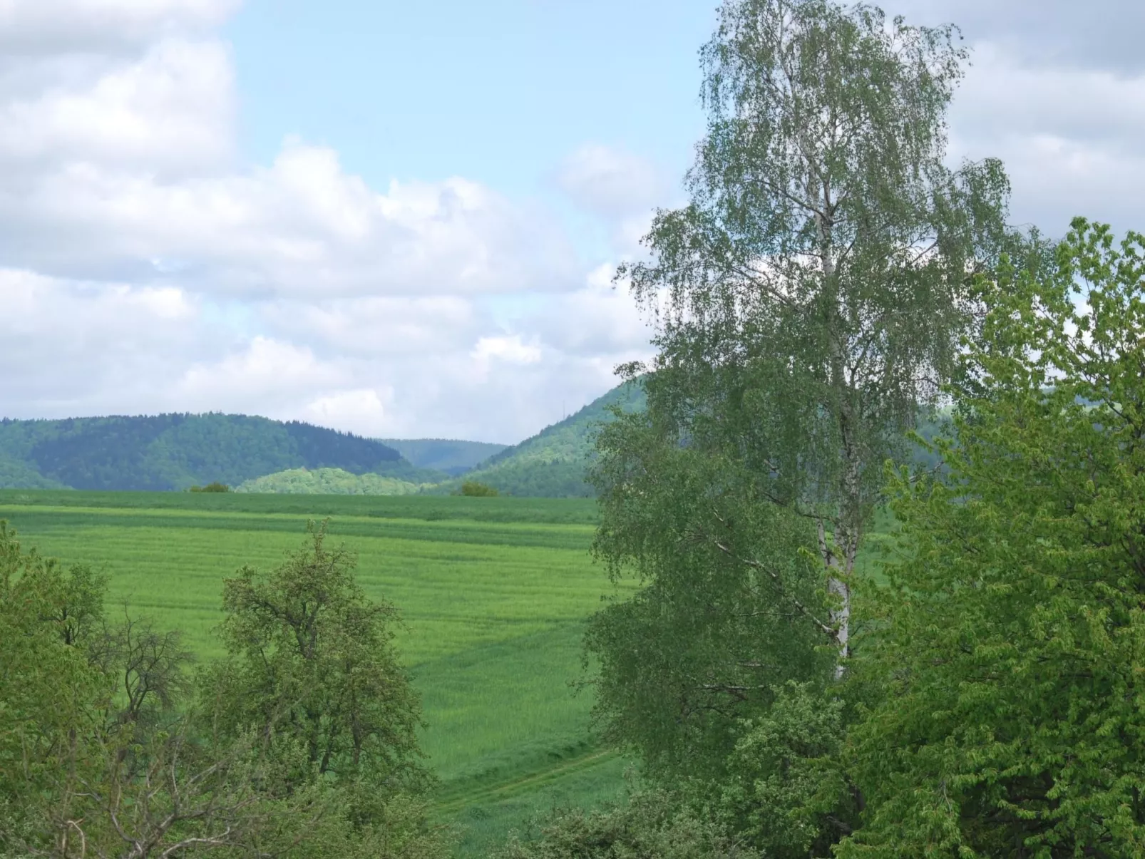 Fewo Stricker 22-Draußen