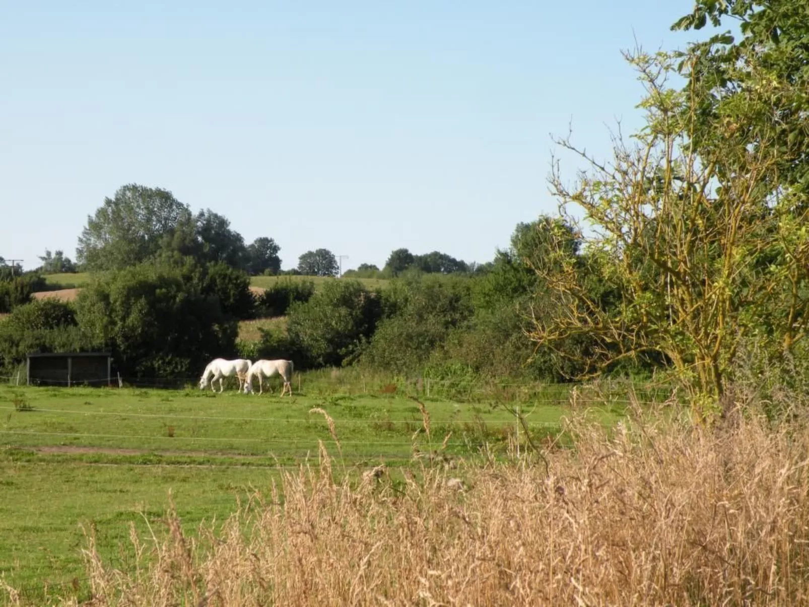 Hof Rodenkrog Fewo 2-Dehors