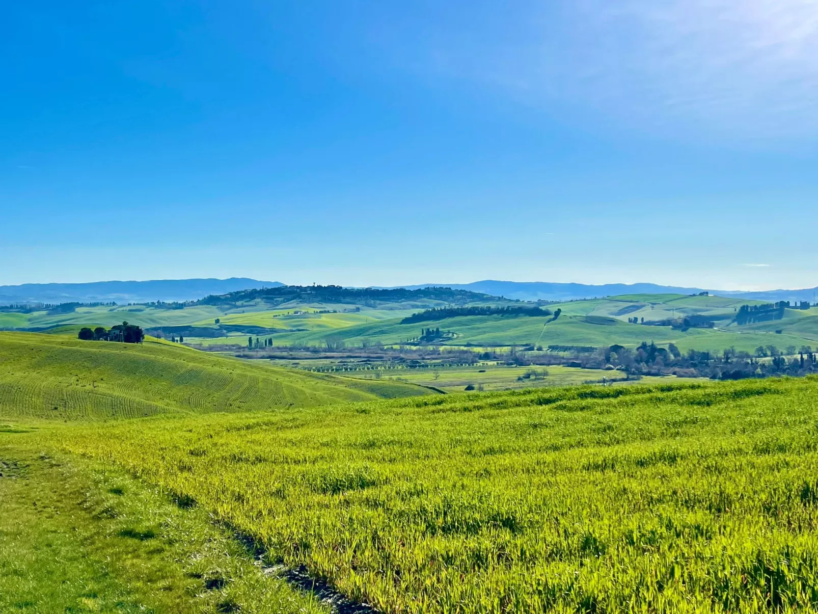 Ostoncino biodynamisch-Outside