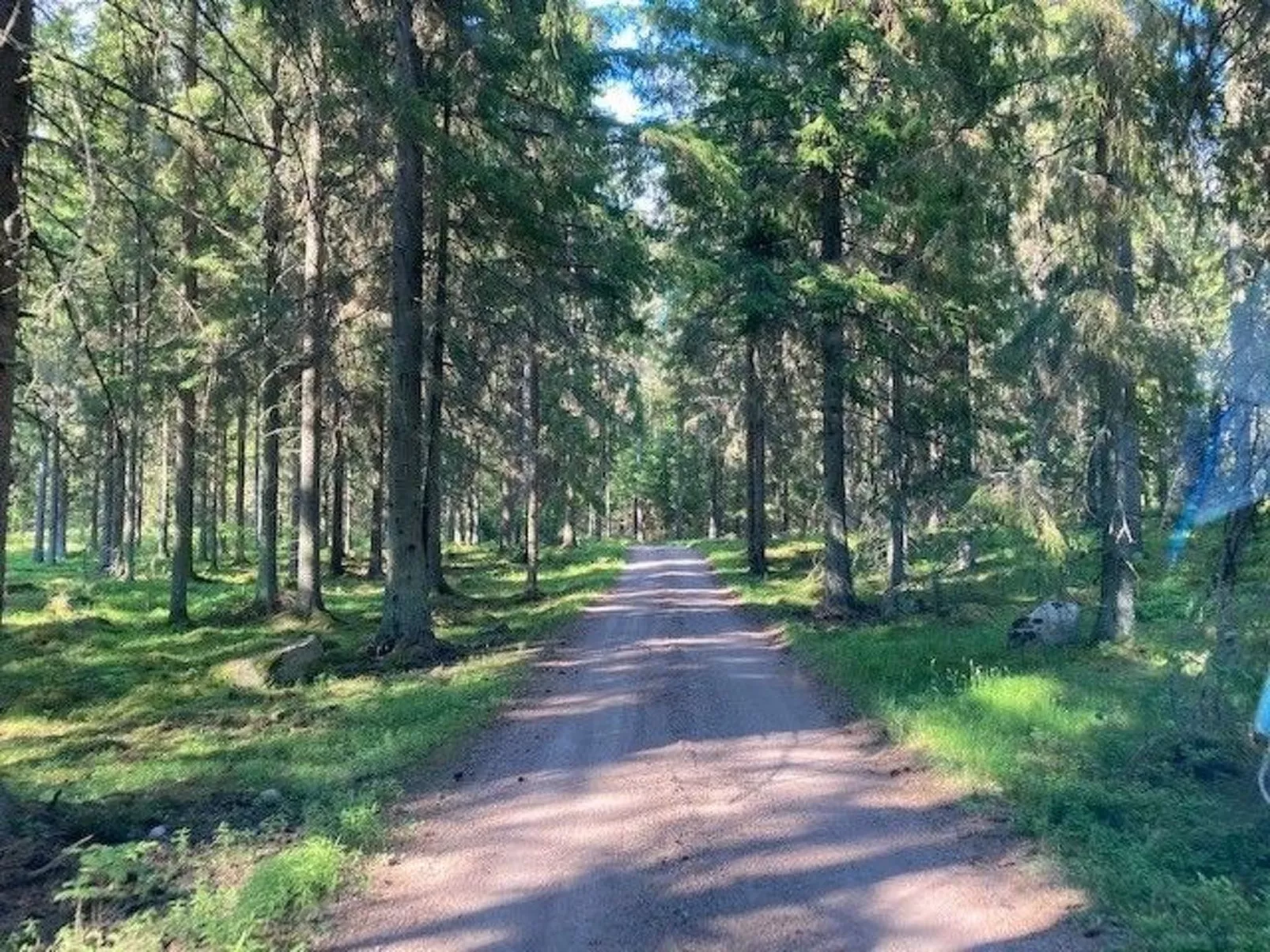 In Tibro mit Kleinem Garten-Inside