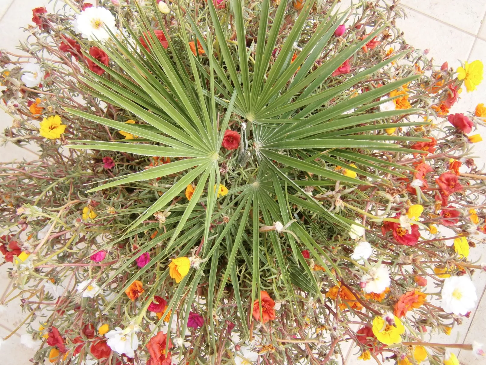 Apartman Sulic-Outside