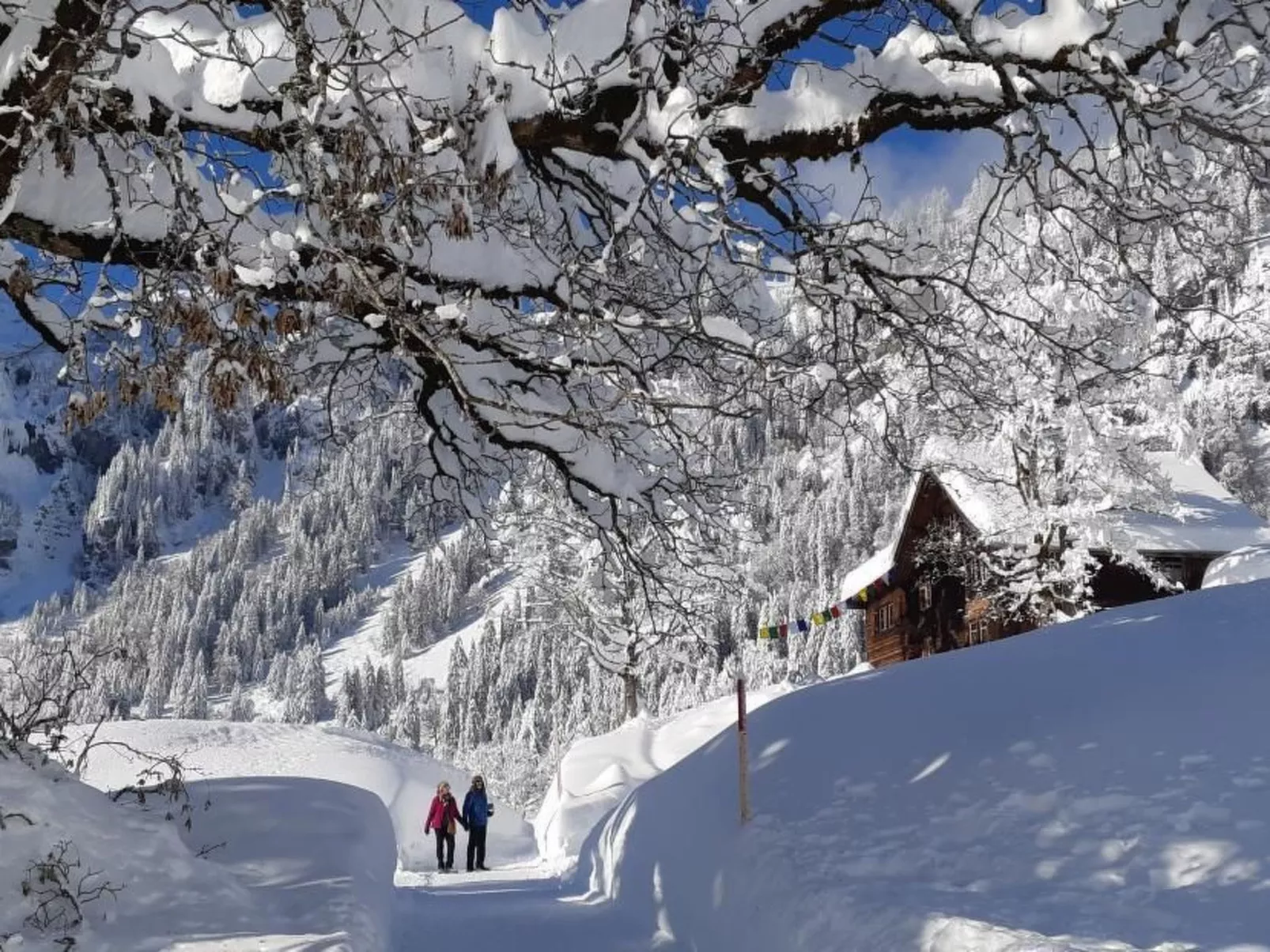 Rietberg 8 Braunwald-Draußen