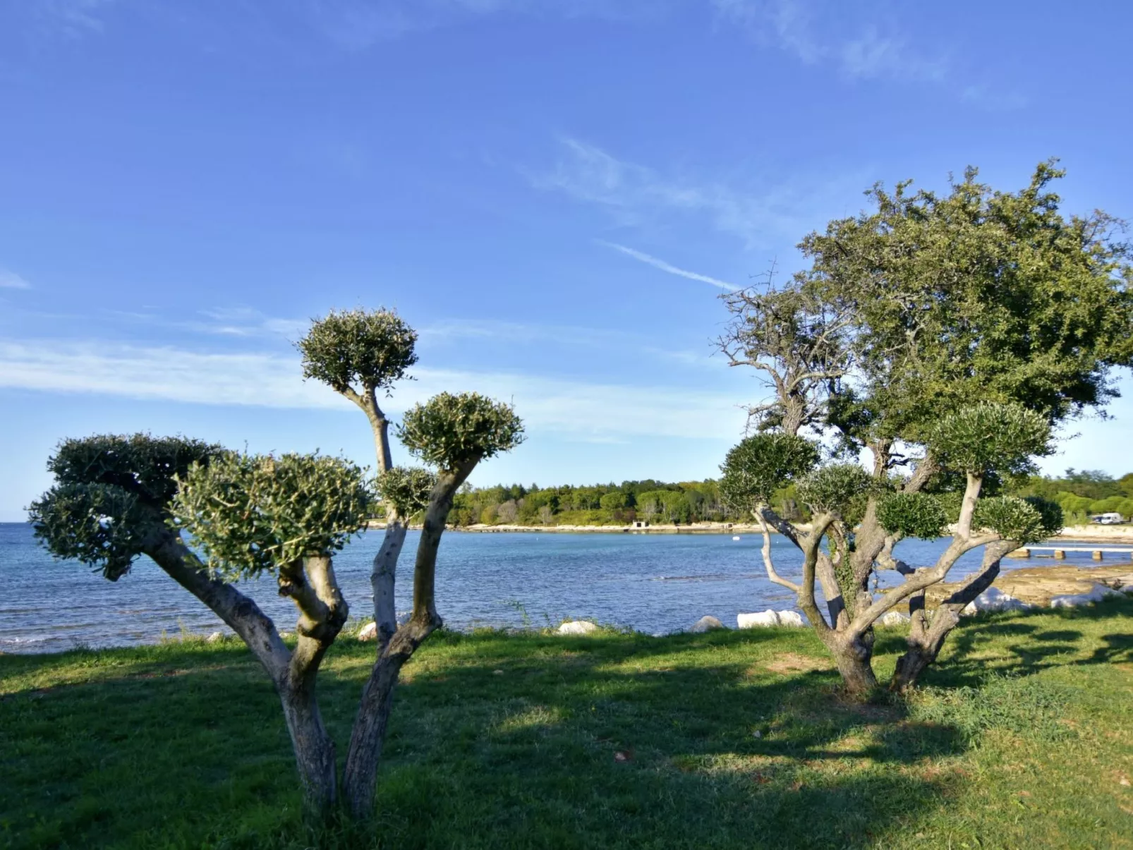 SILVA 2+1 2. KAT-Dedans