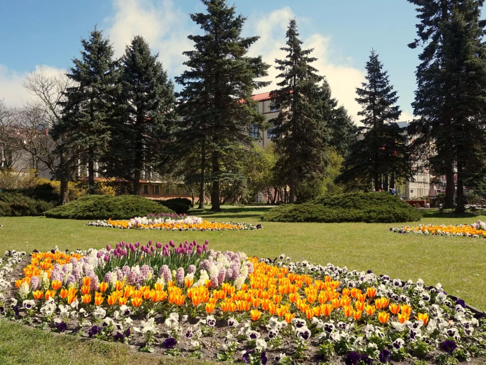 Appartement in Nowe Miasto mit Garten-Image-tags.info