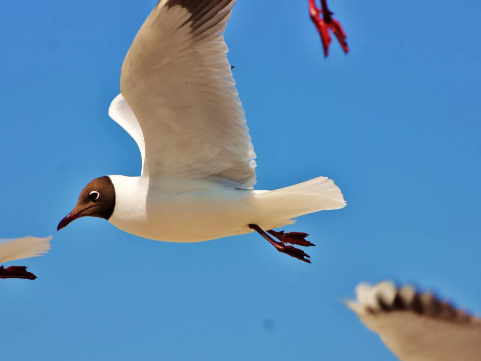 Strandnahe Wohnung mit Terrasse und Parkplatz-Dedans