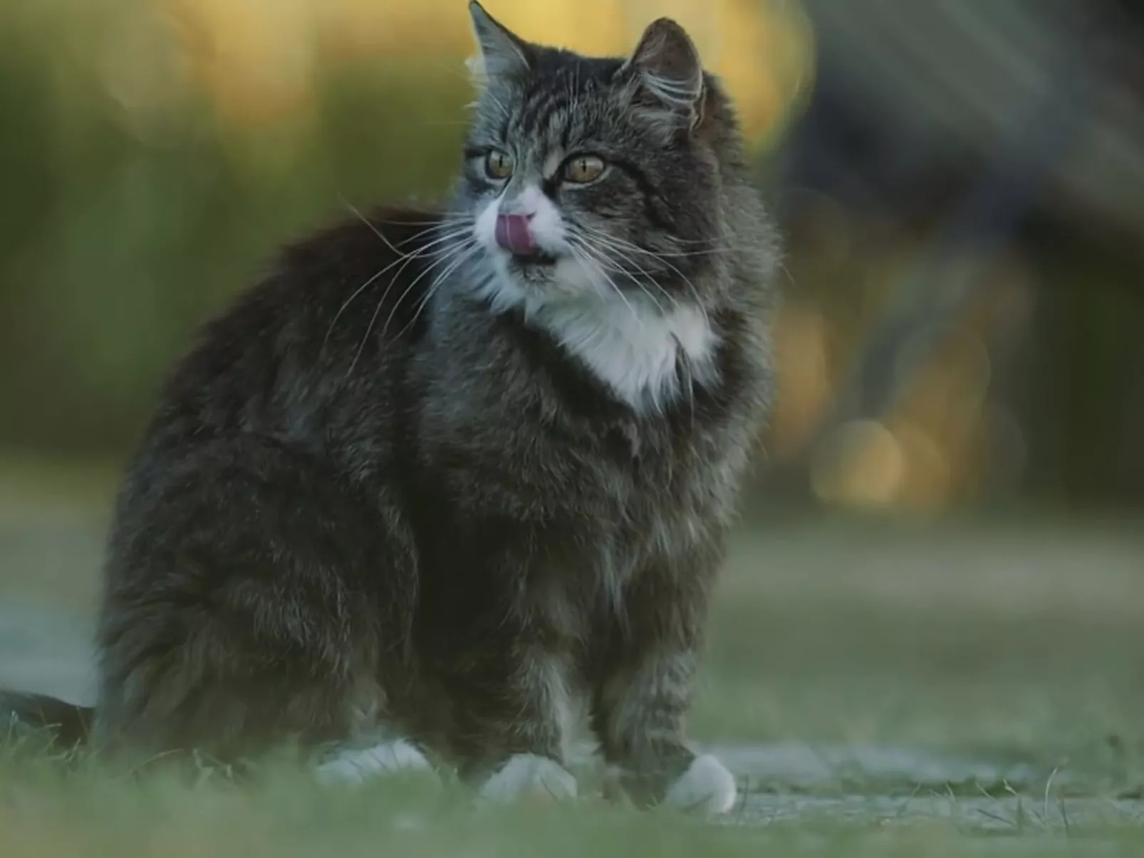 Landhaus mit Sonnenterrasse und Garten-Dehors