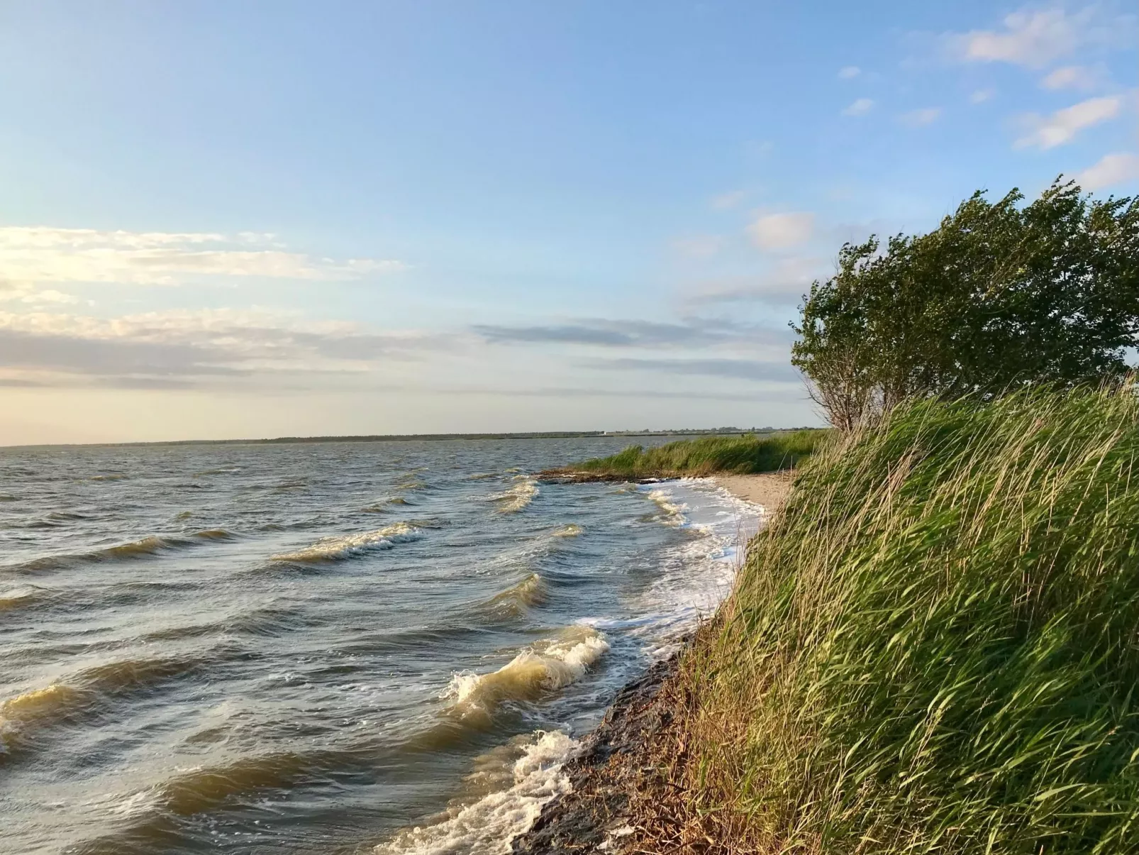 Wiesenblick 2-Inside