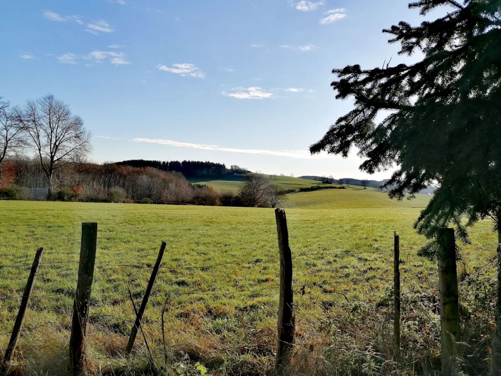 Appartement mit Terrasse-Inside