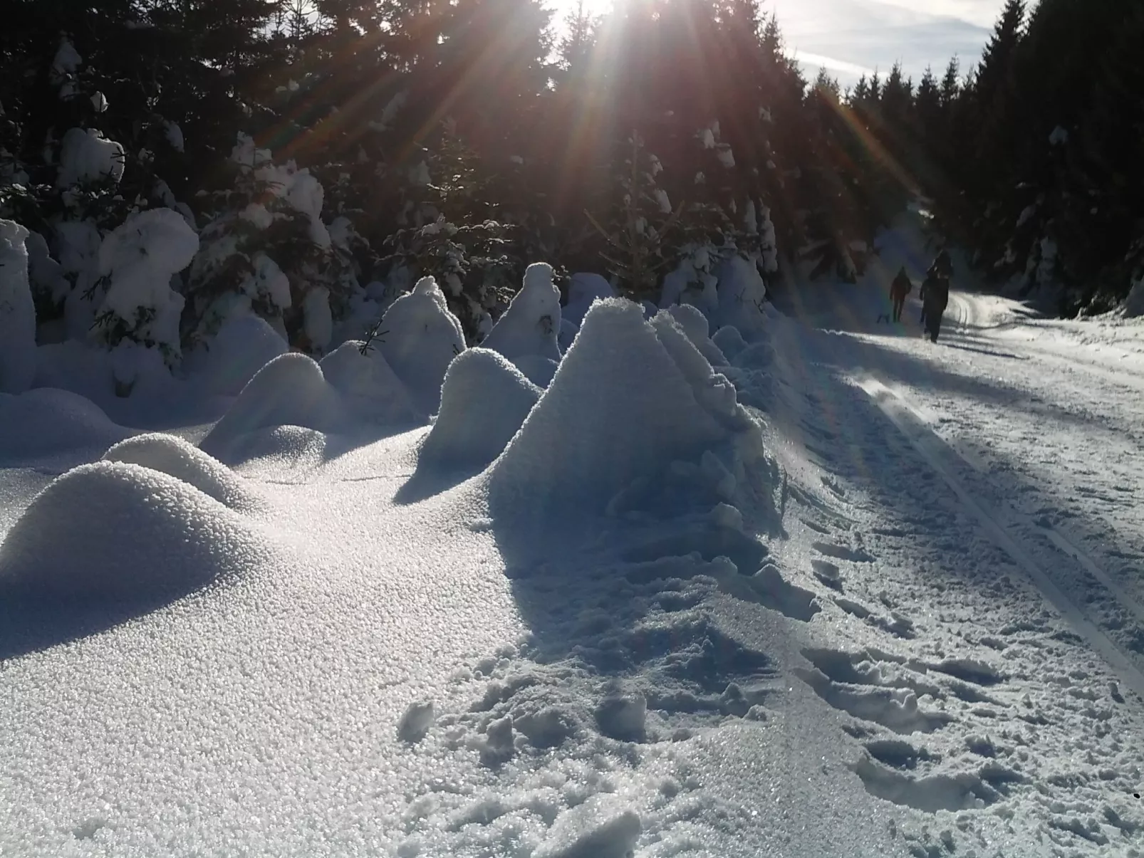 Villa Silberborn A.9 - Draußen