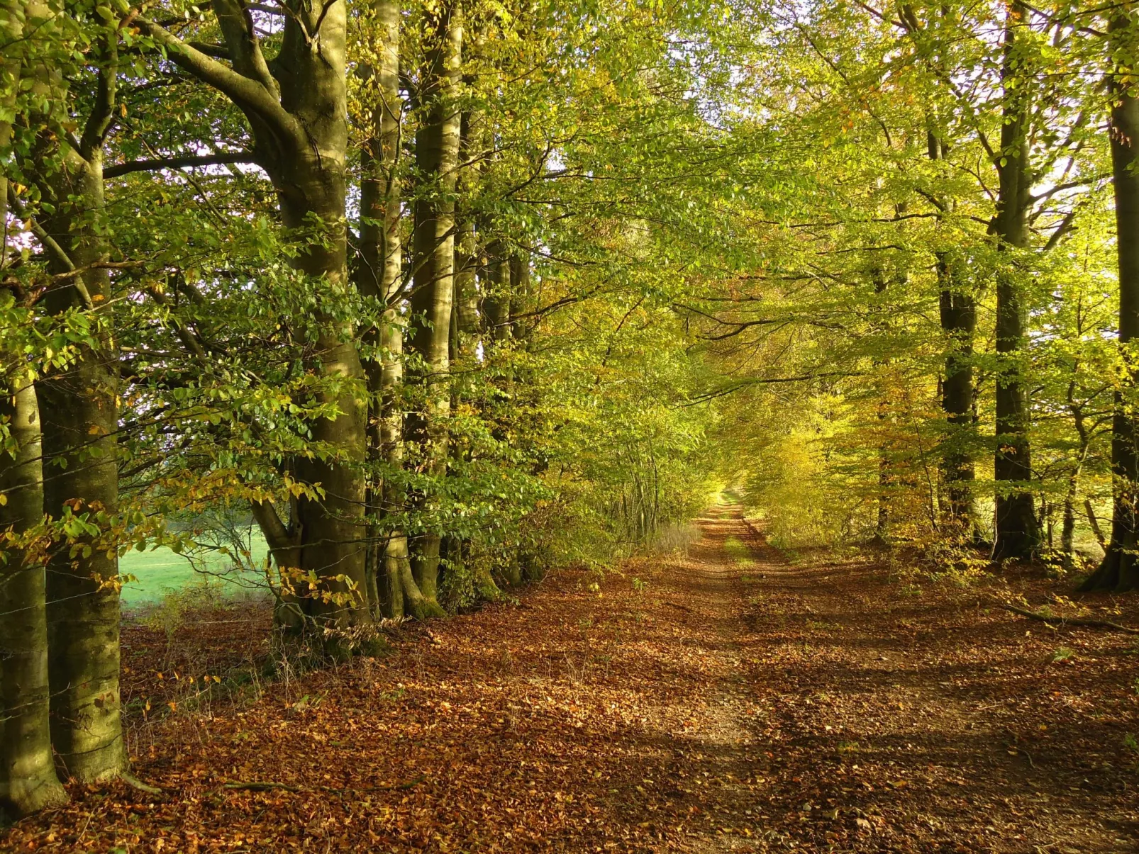 Am Hohen Venn-Outside
