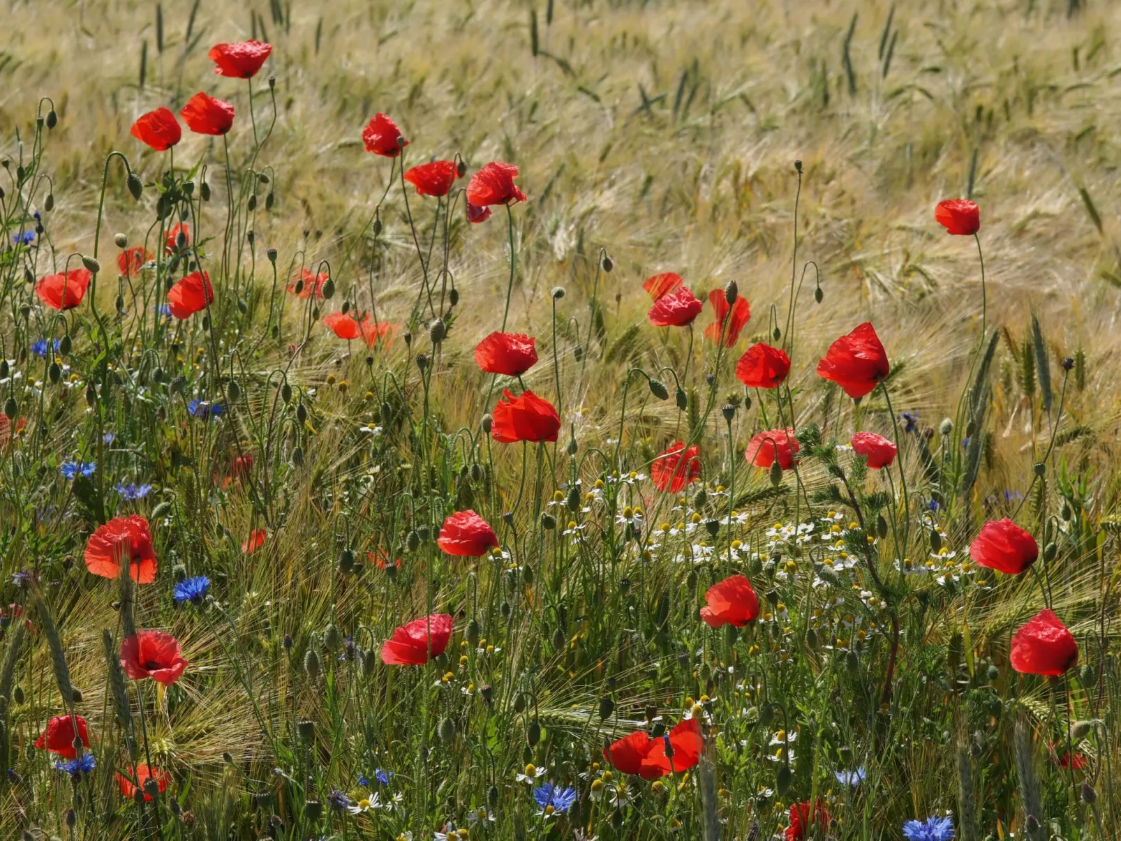 In idylischer Lage-Drinnen