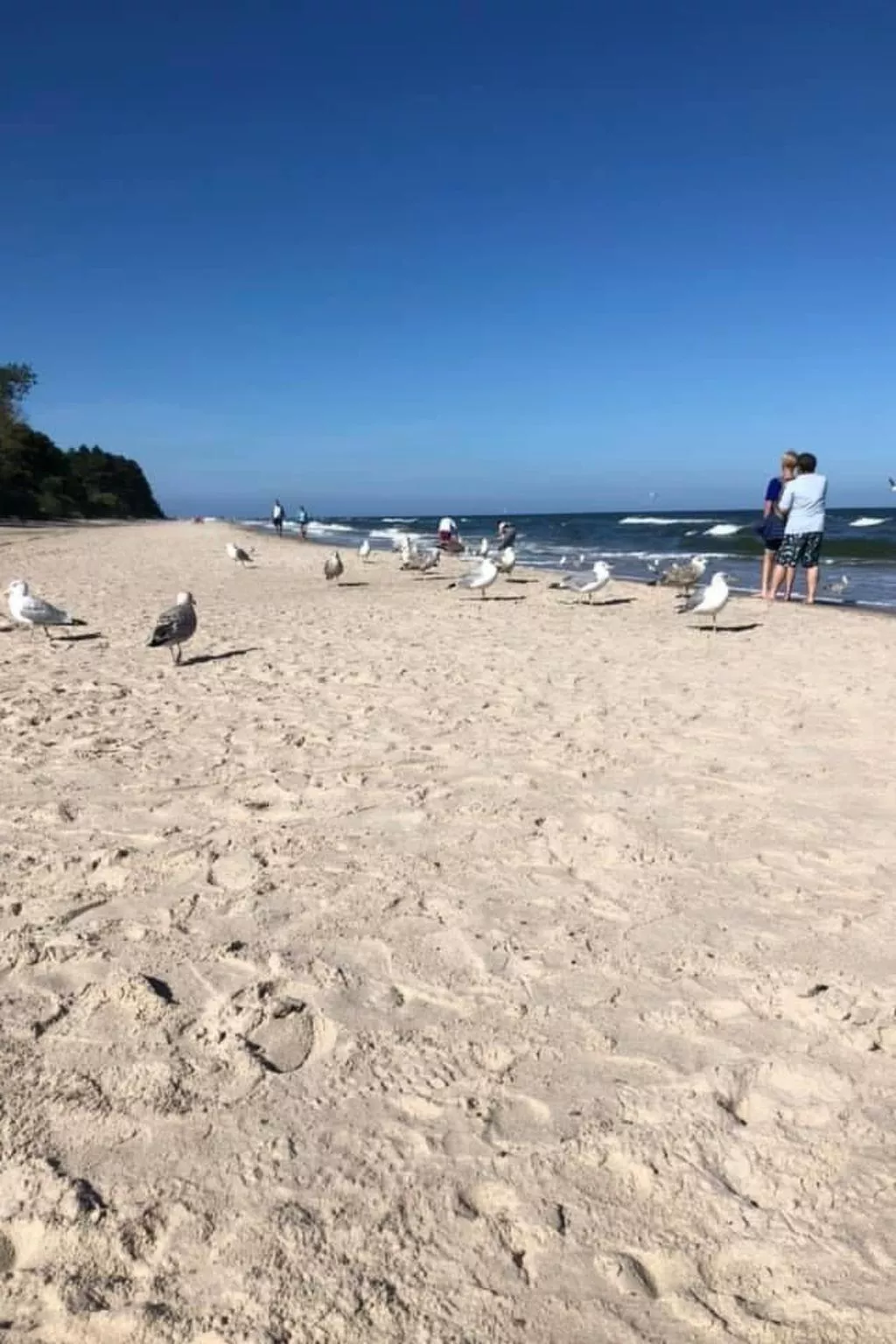 Schönes Ferienhaus für 7 Personen und 1 Kind-Dedans
