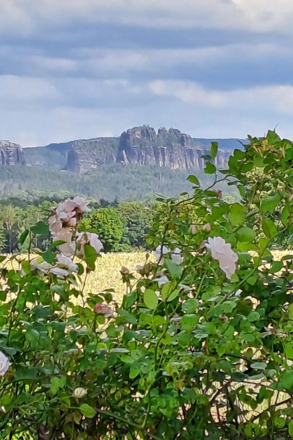 Schöne Ferienwohnung mit Garten und Grill-Dehors