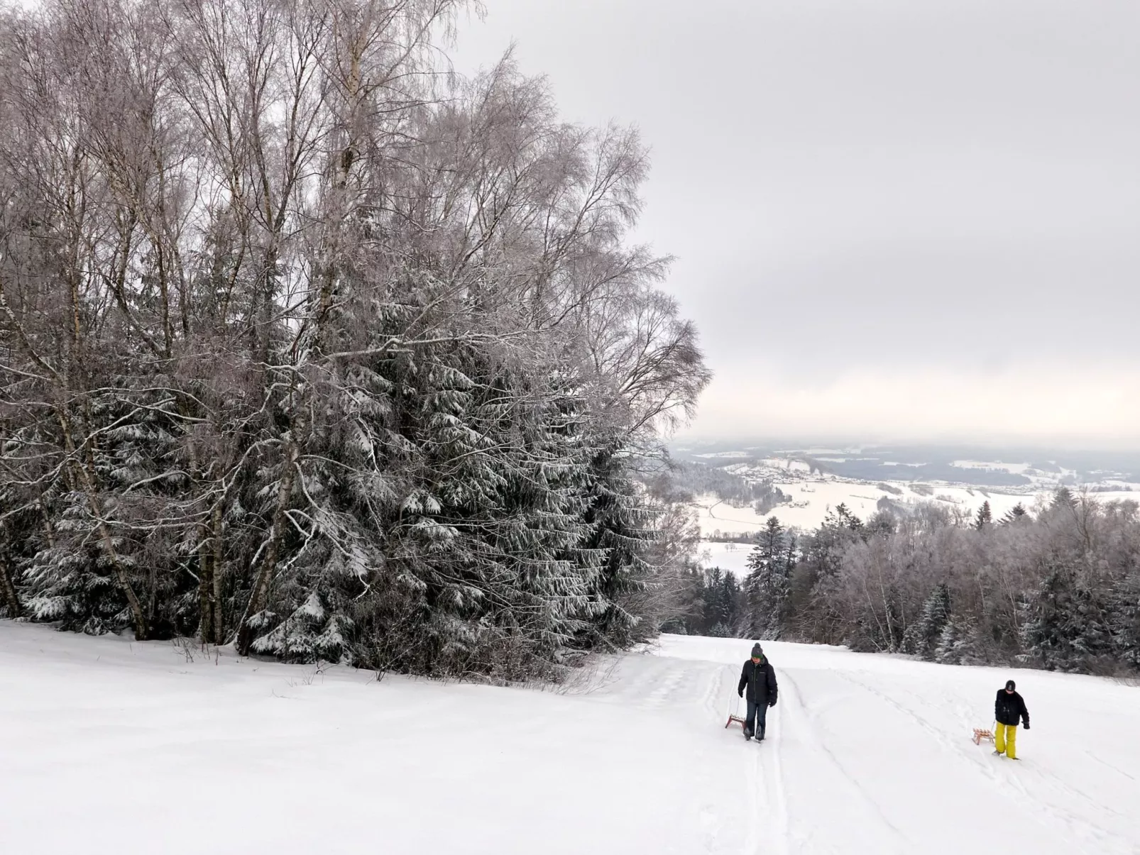 In Waldkirchen mit Garten und Seeblick-Dedans