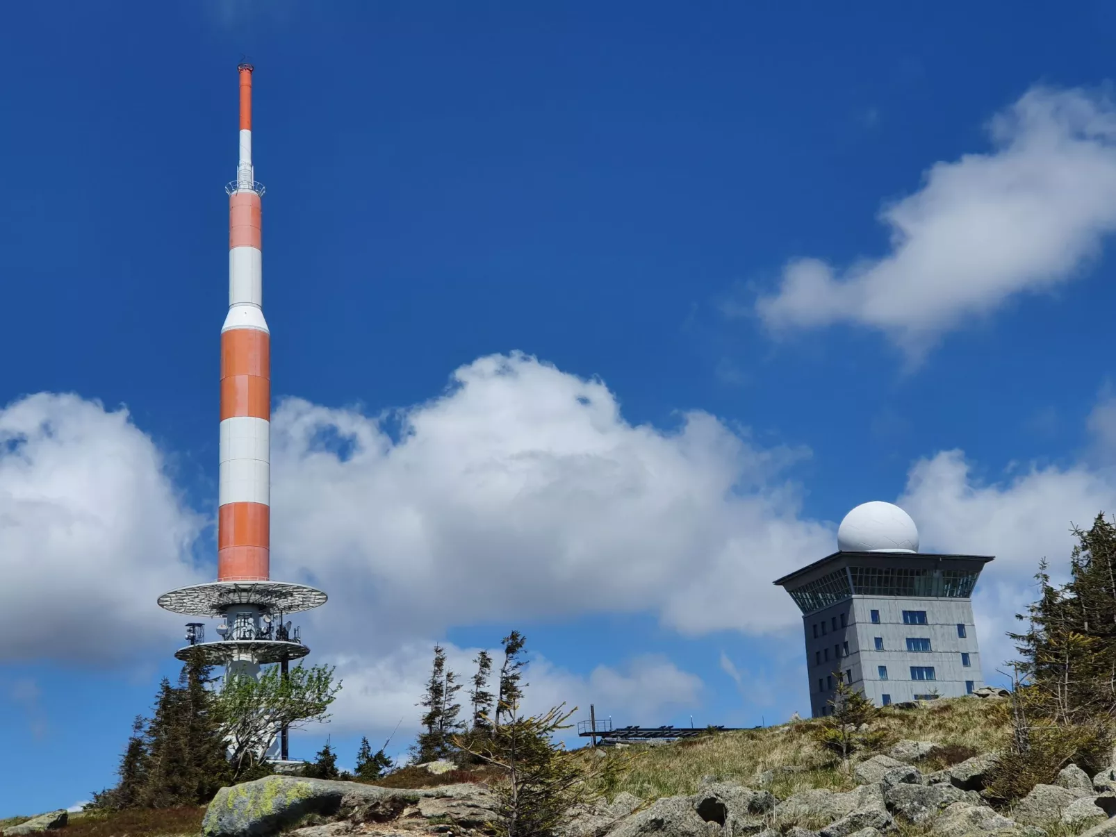 Blauvogel - 6 Pers.-Dedans