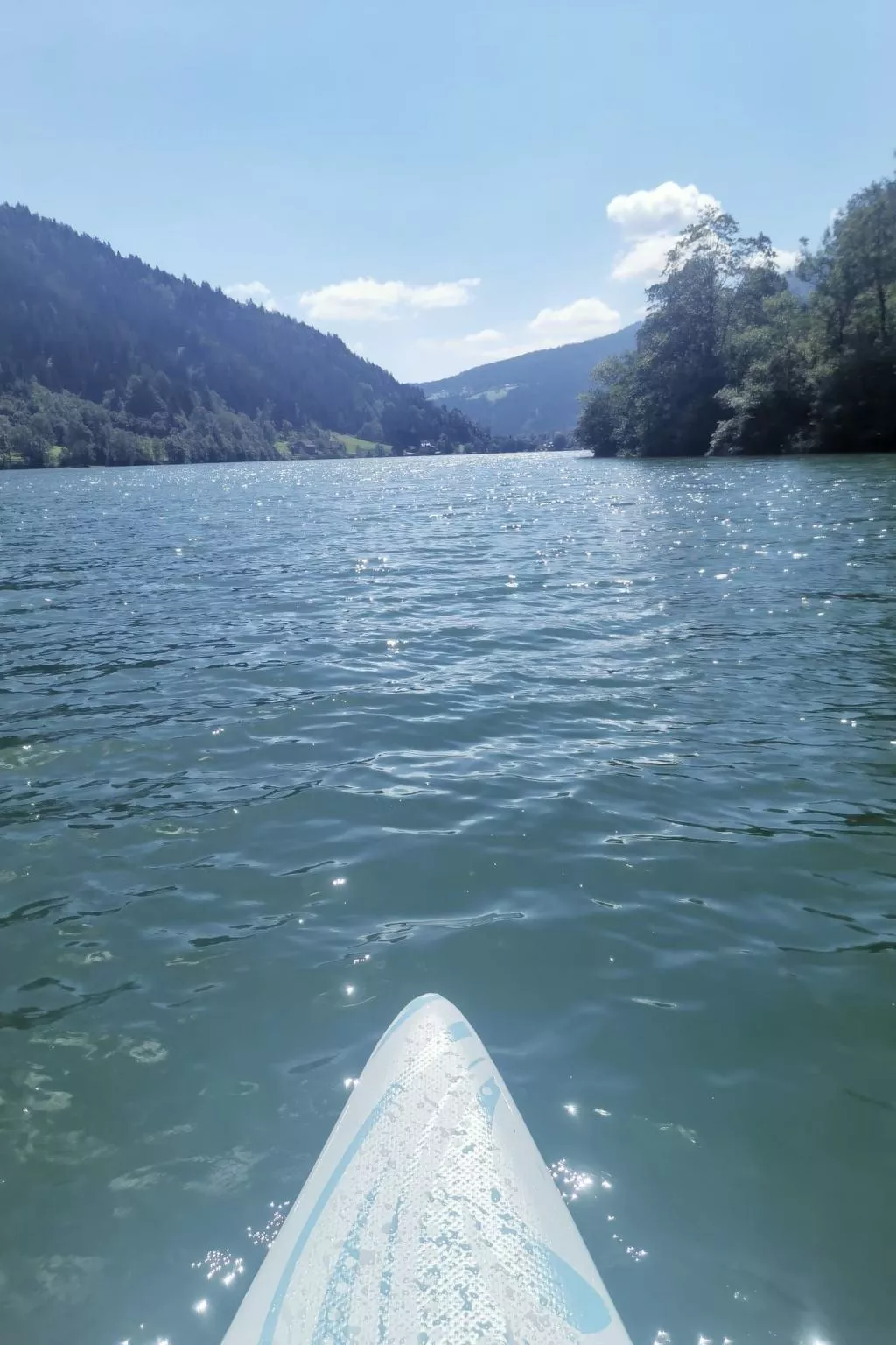 Studio Seebrauer  in Feld am See-Outside