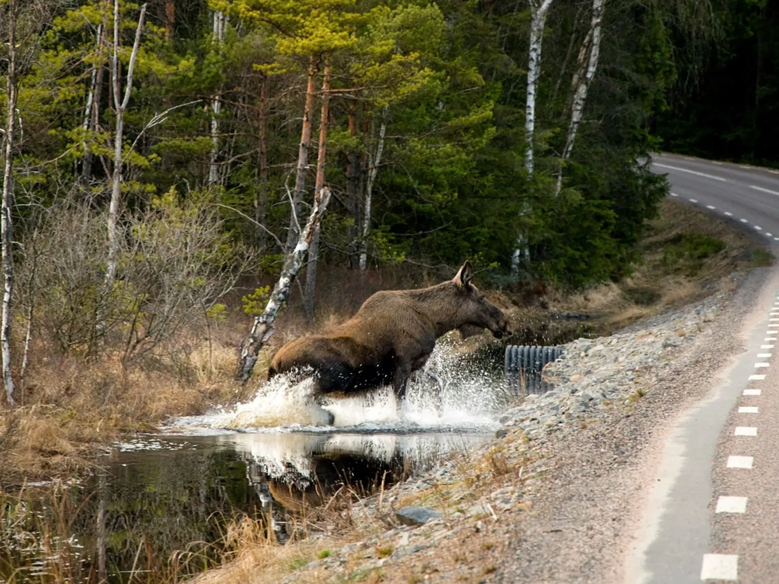 "Évika 1" mit Sauna-Outside