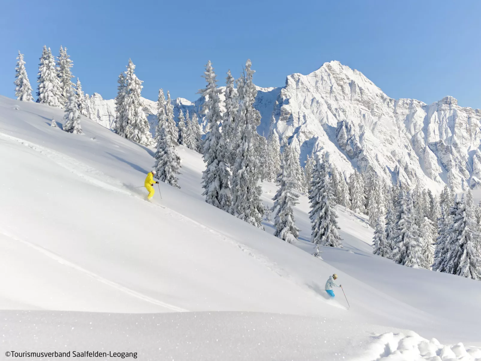 Apartment Sonnberg-Area