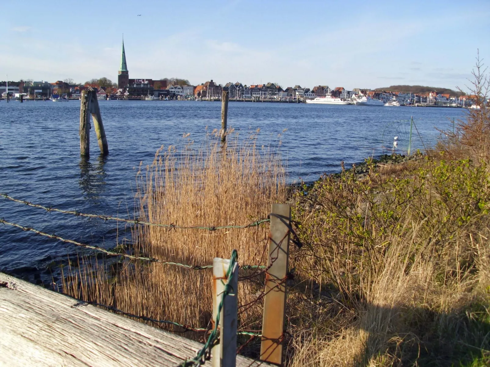 Studio am Rande eines Naturschutzgebietes-Outside